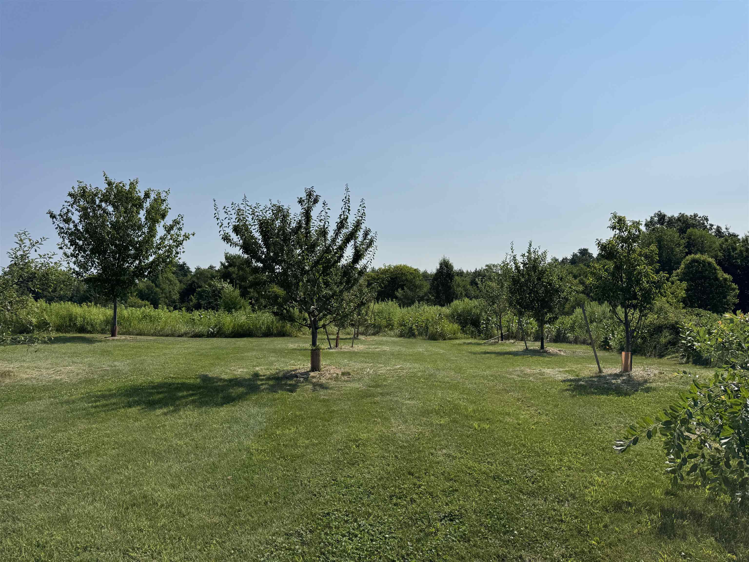 main property photo 36