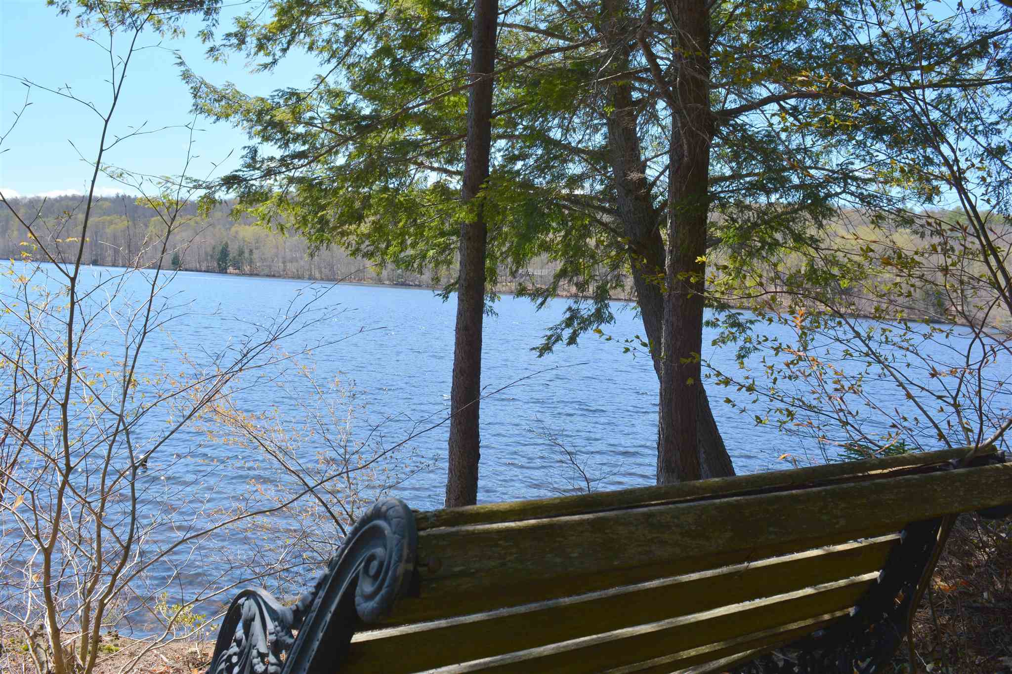 main property photo 54