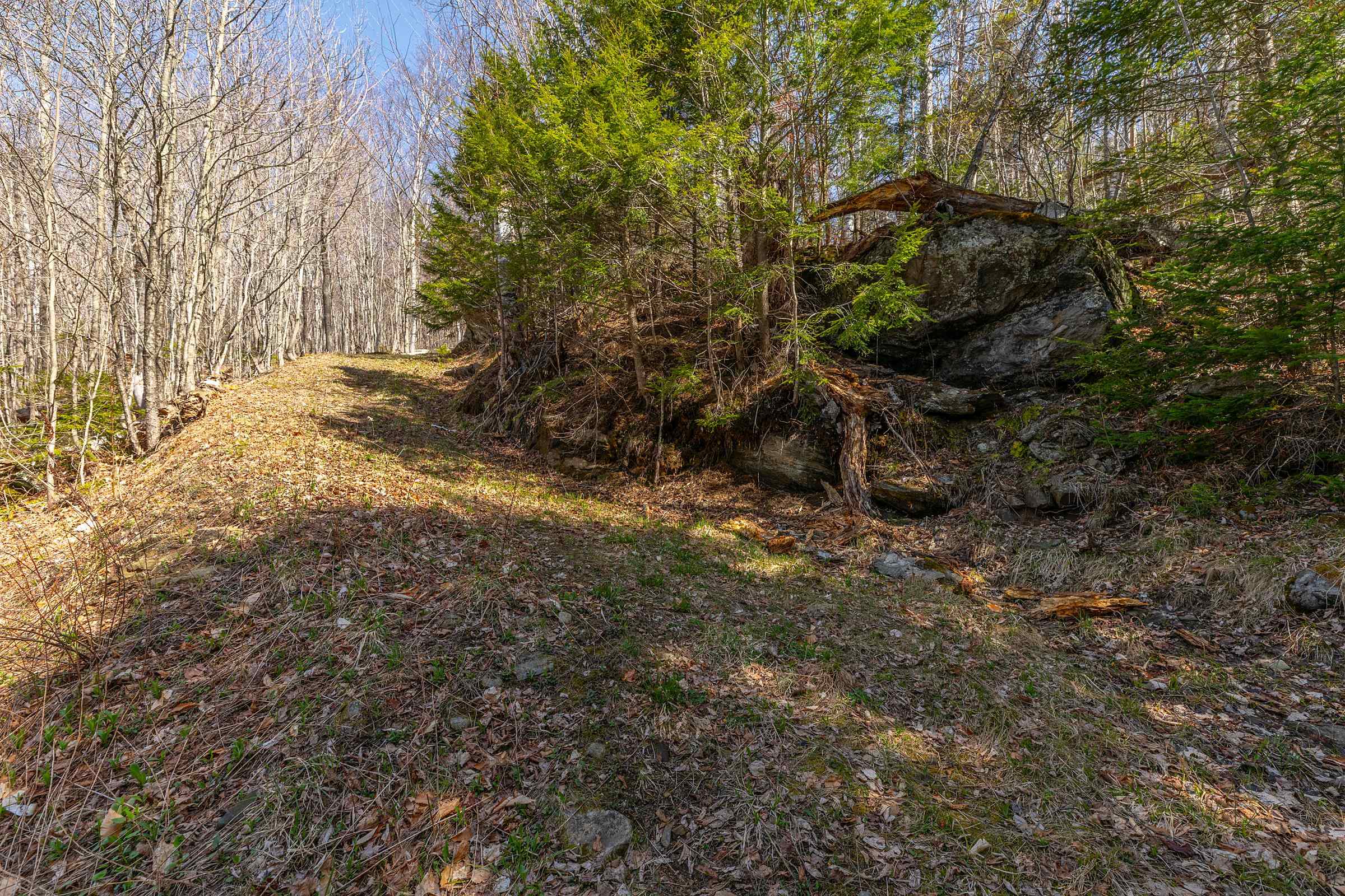 main property photo 45