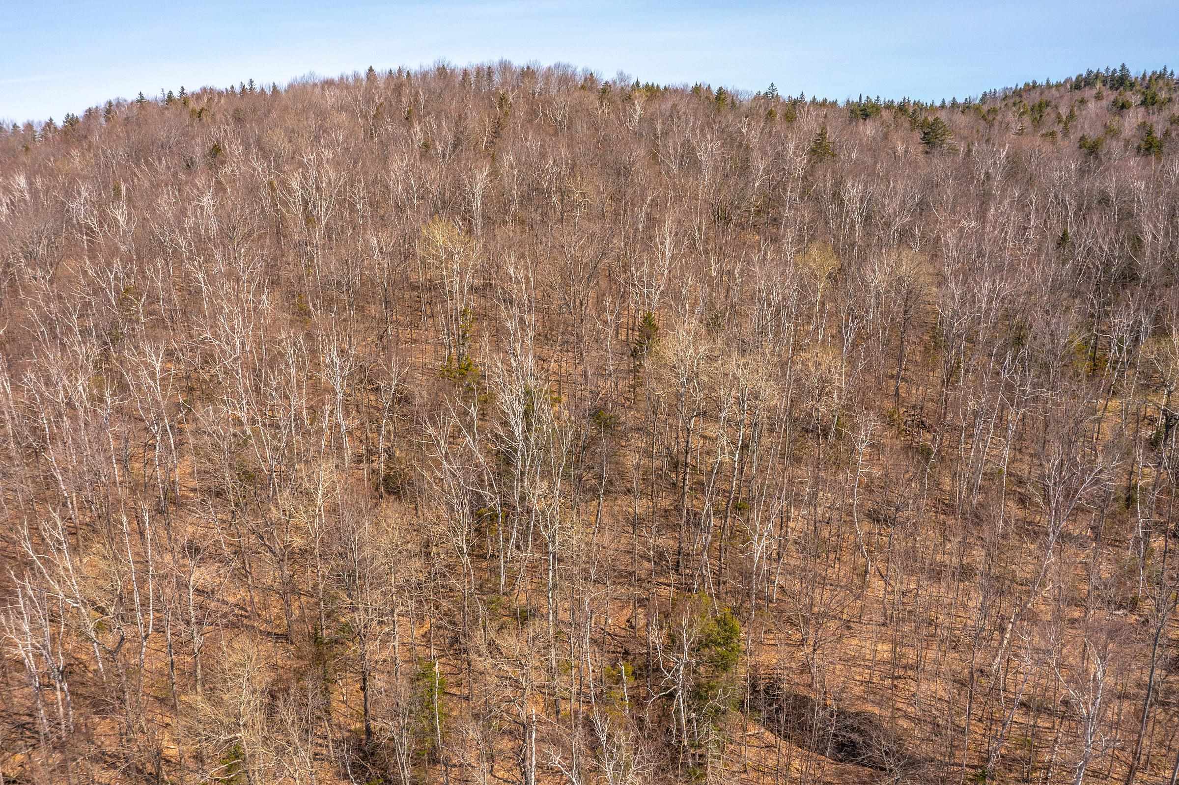 main property photo 53