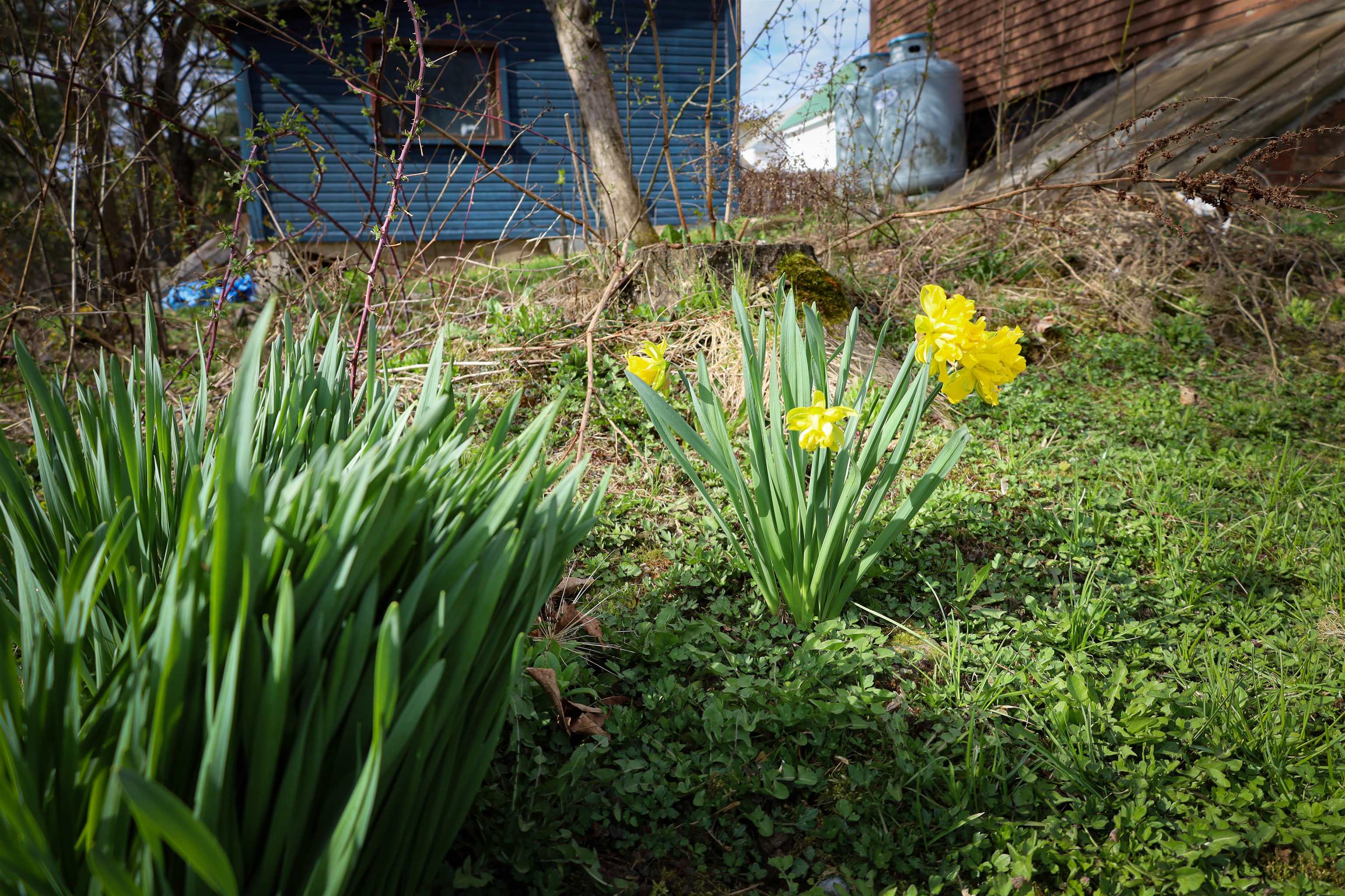 main property photo 45