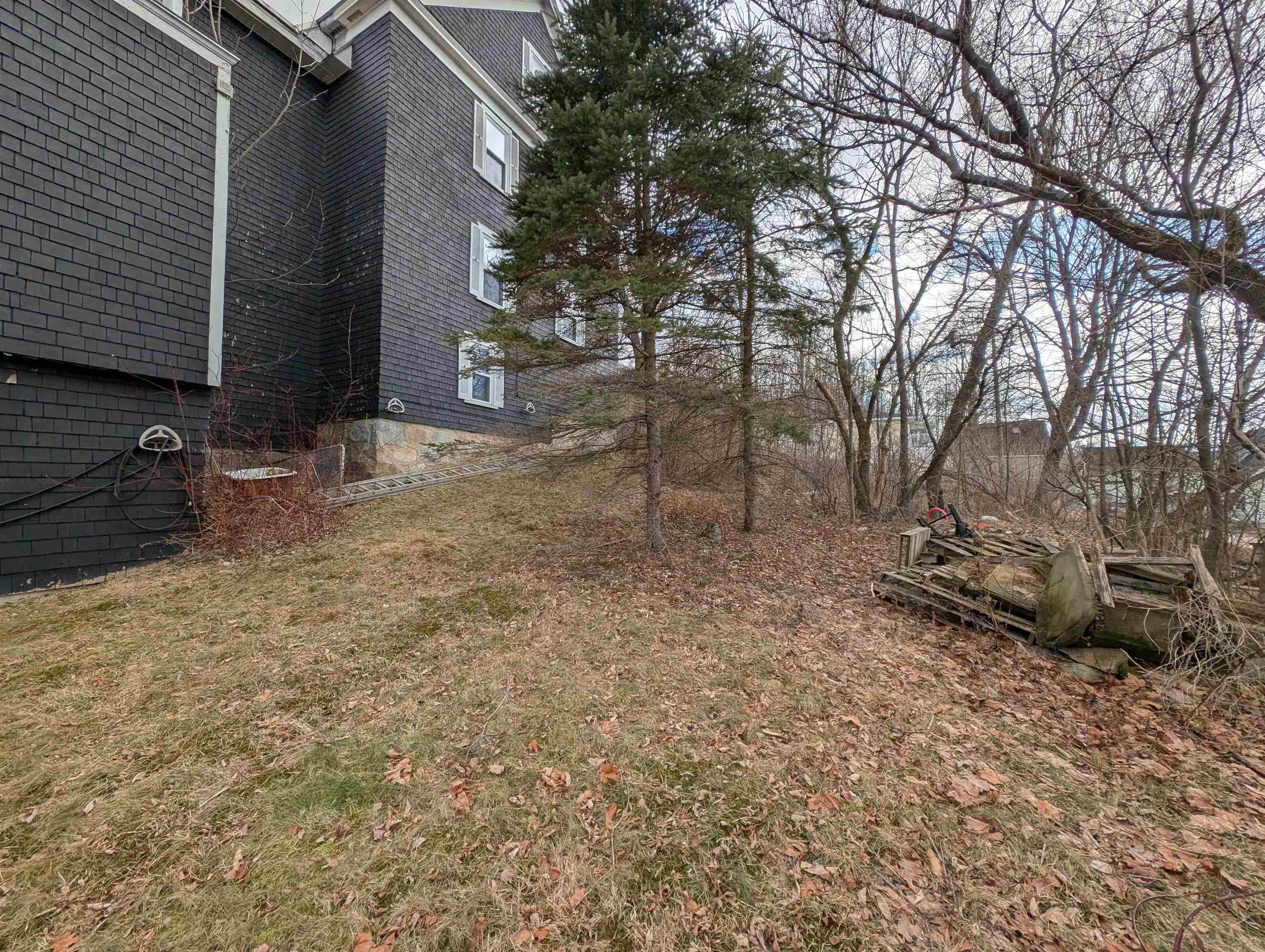 main property photo 20