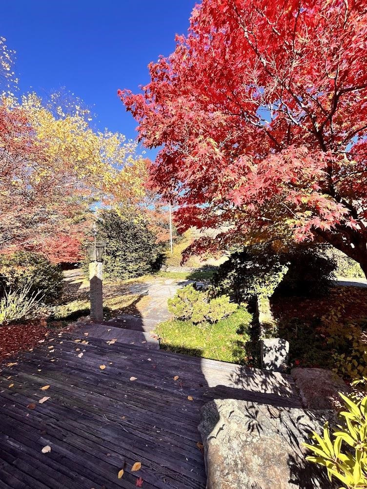 main property photo 46