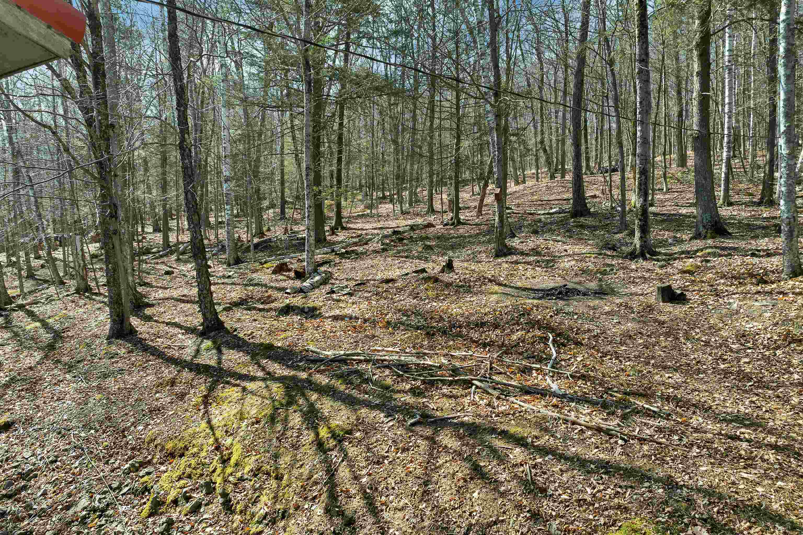 main property photo 40