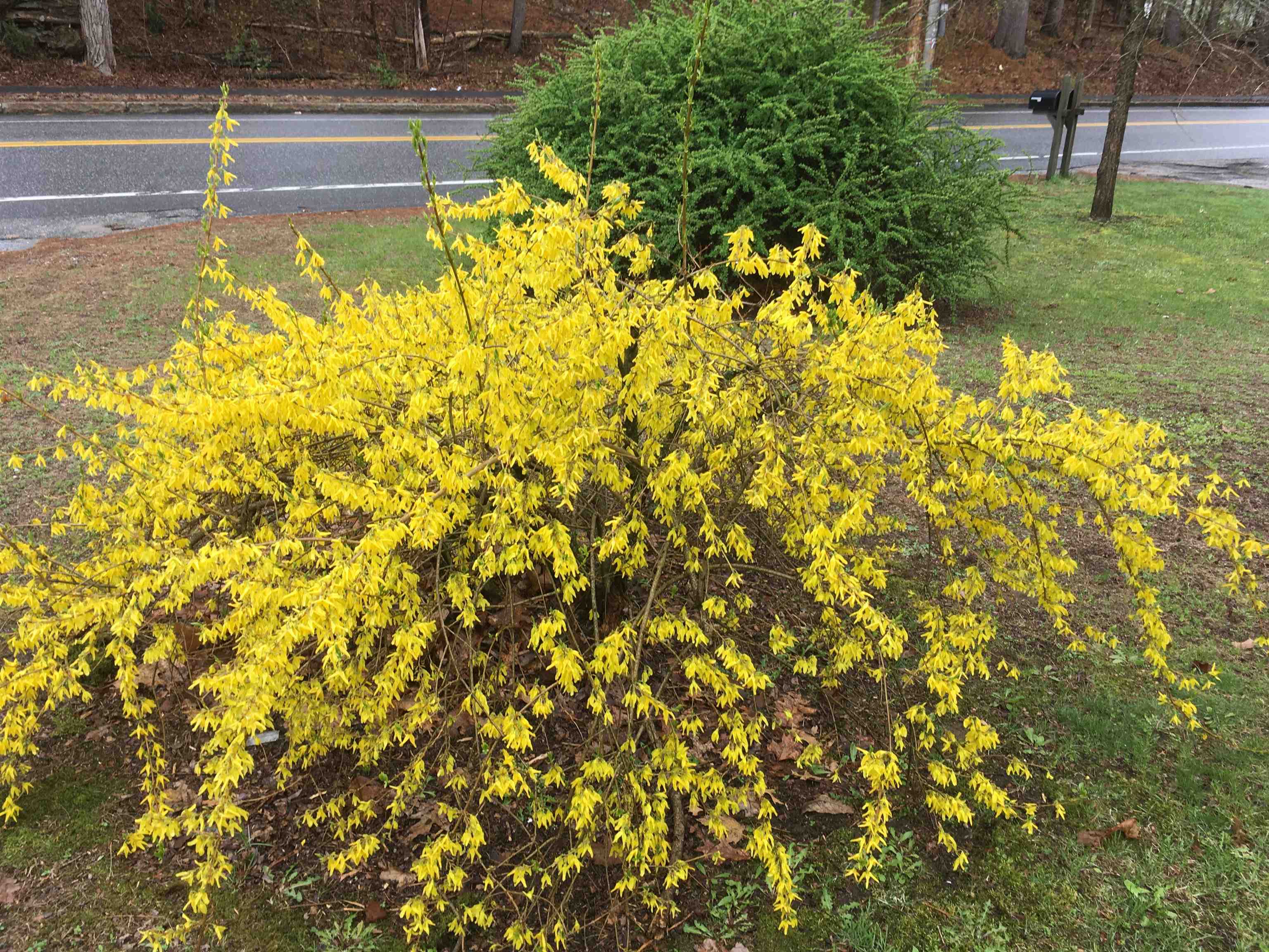 main property photo 26