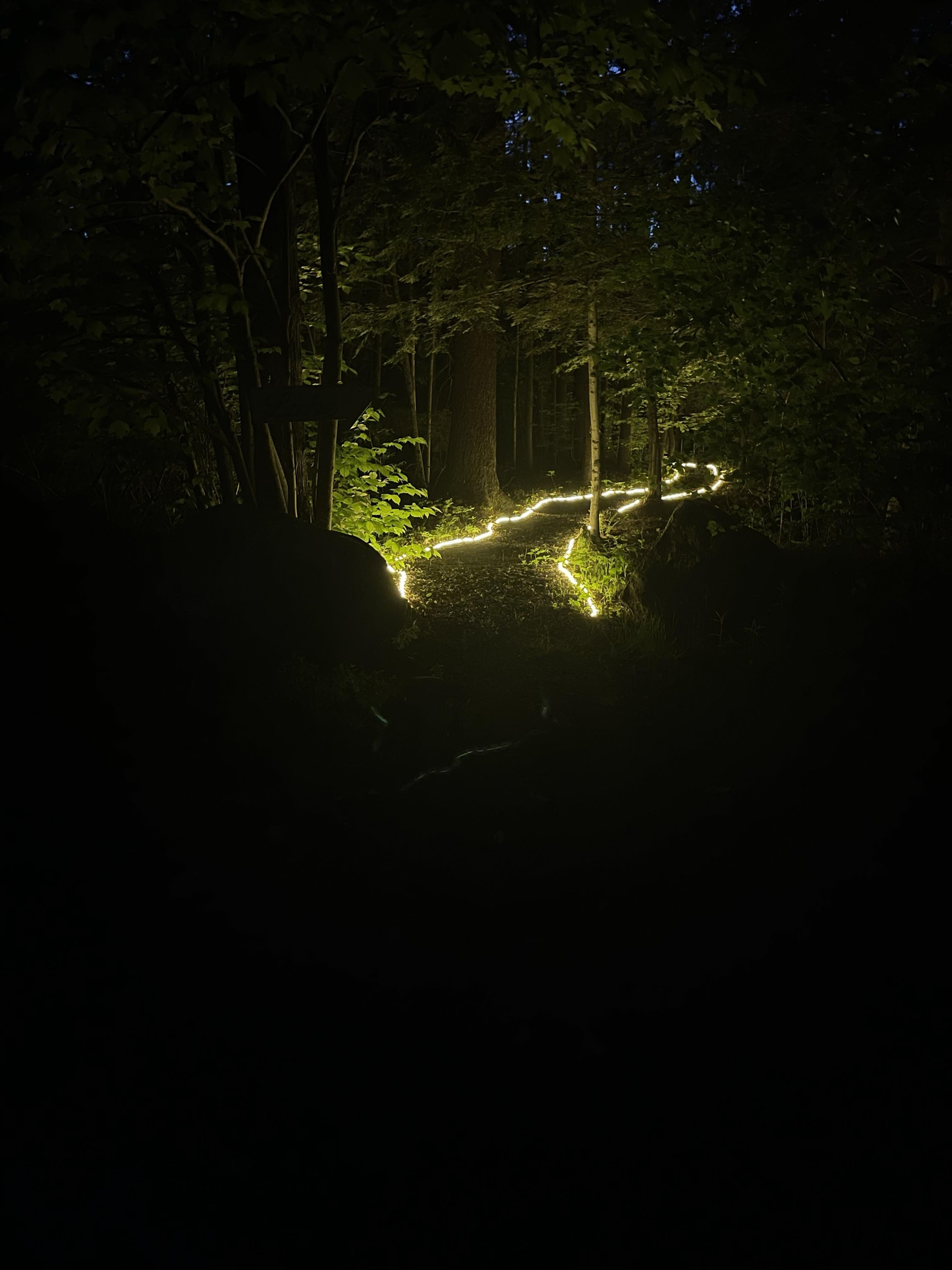 main property photo 58