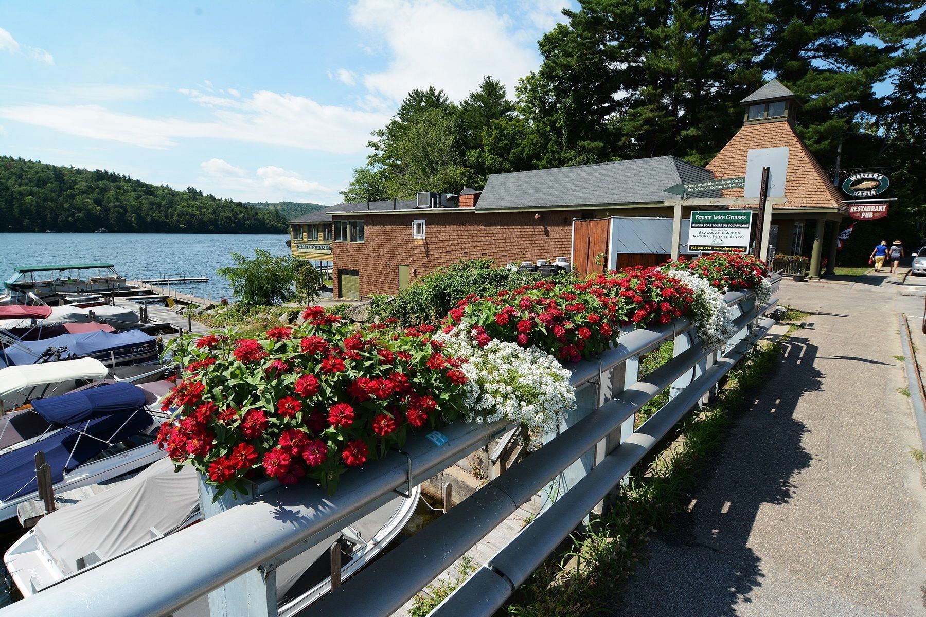 main property photo 59