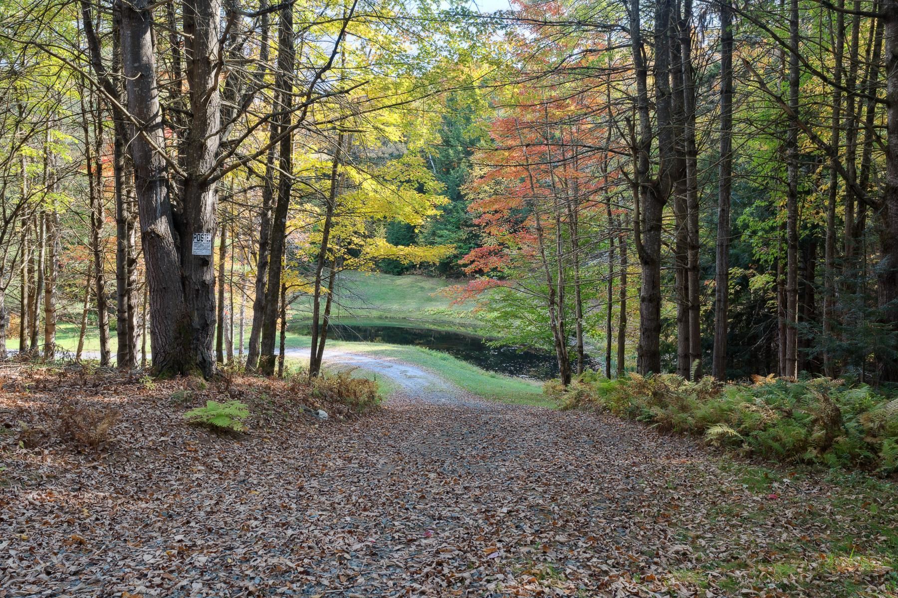 main property photo 45