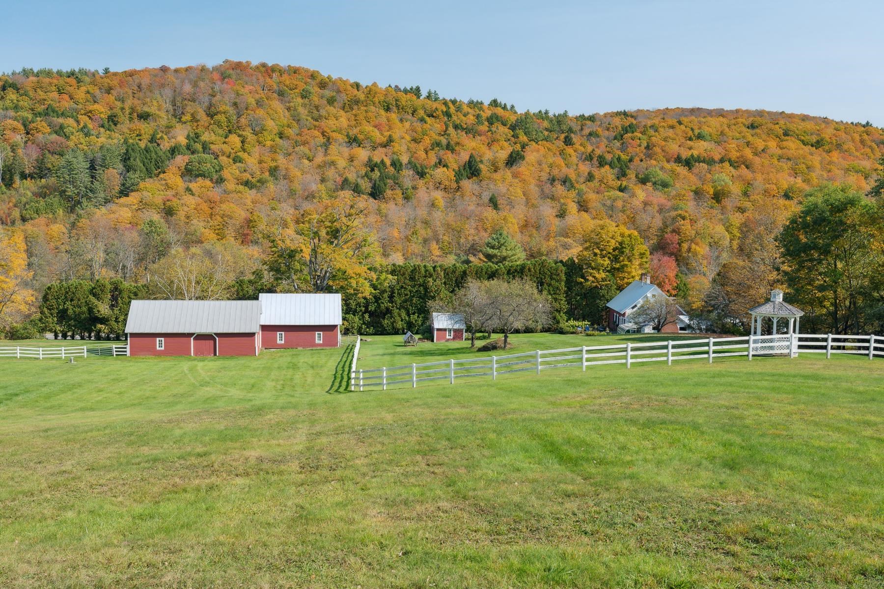 main property photo 48