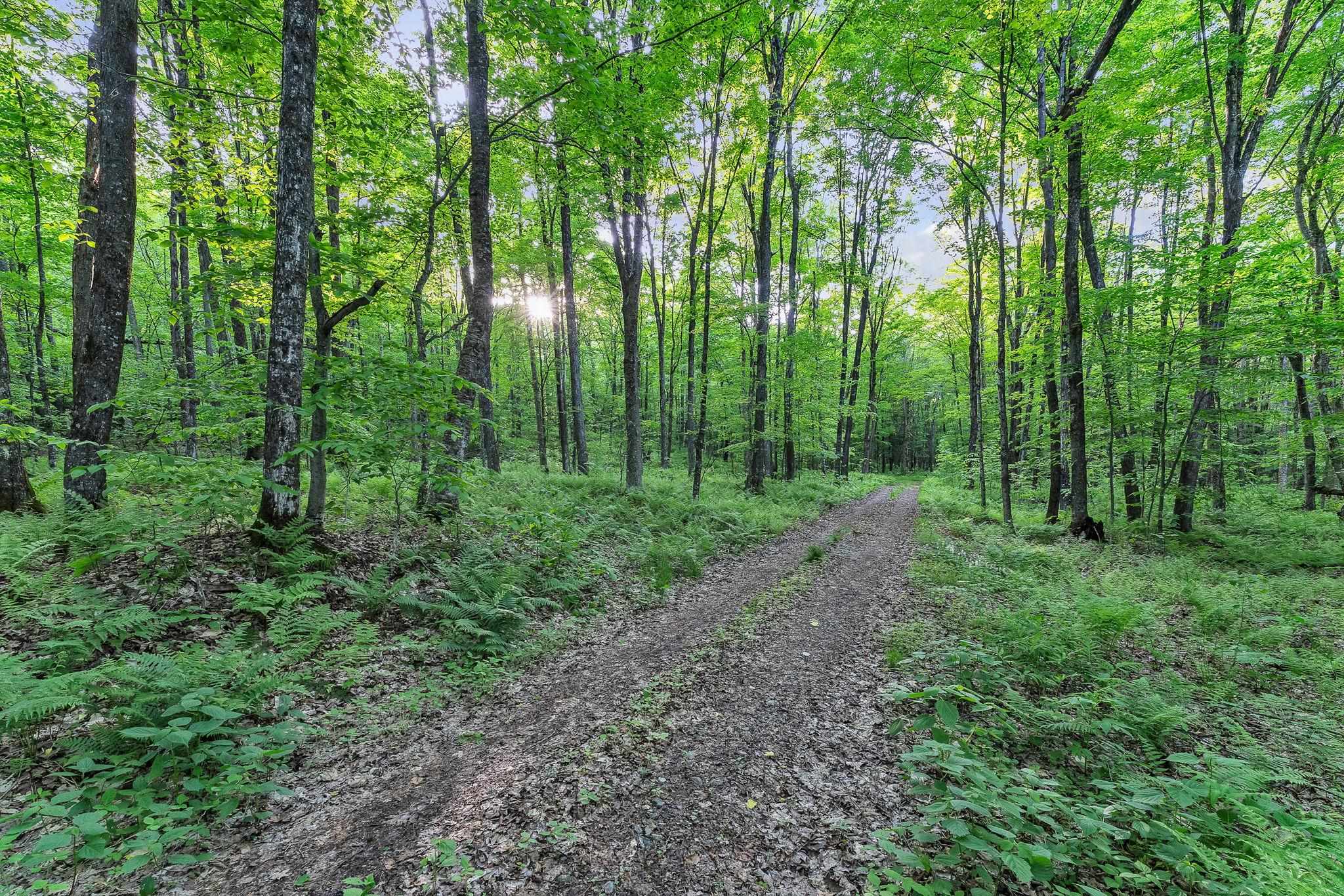 main property photo 49