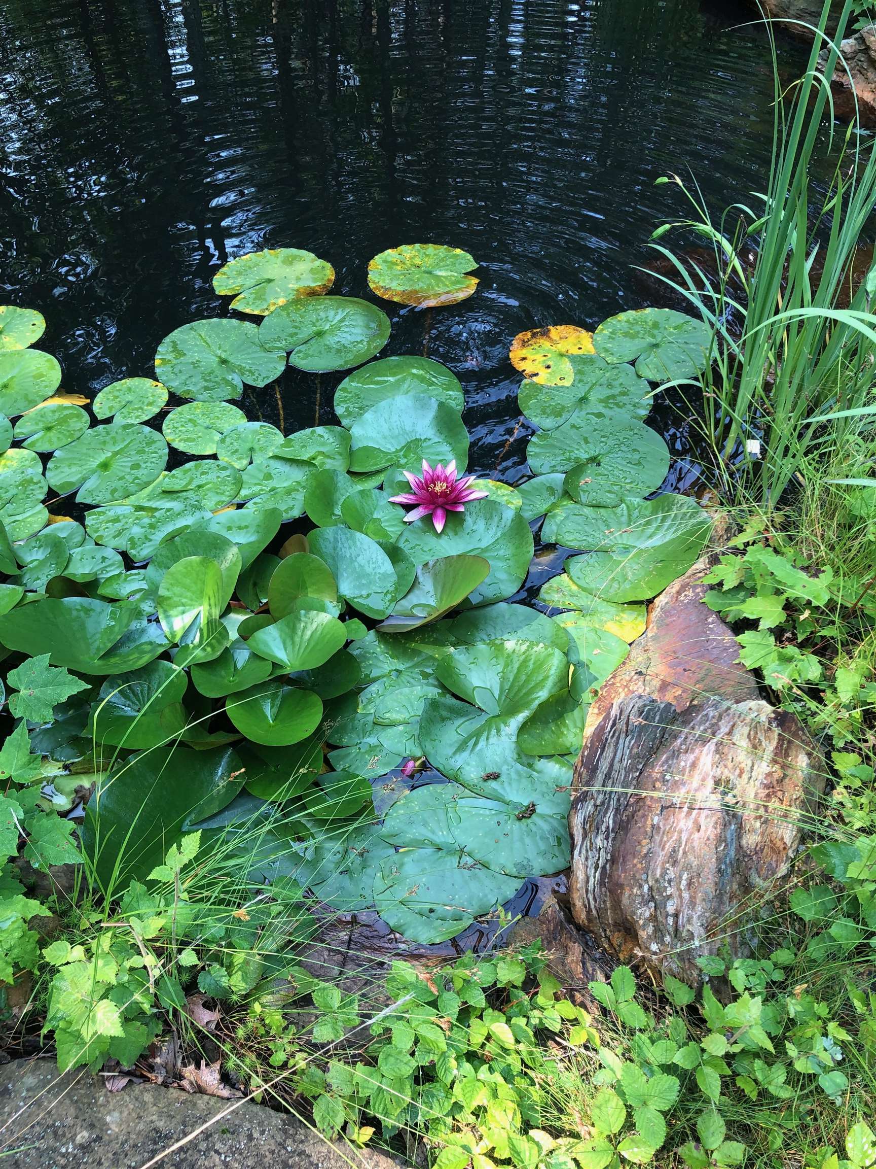 main property photo 56