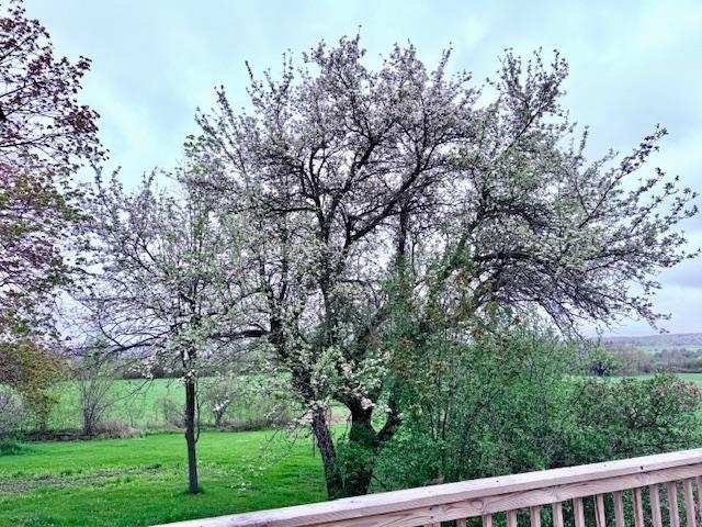 main property photo 58