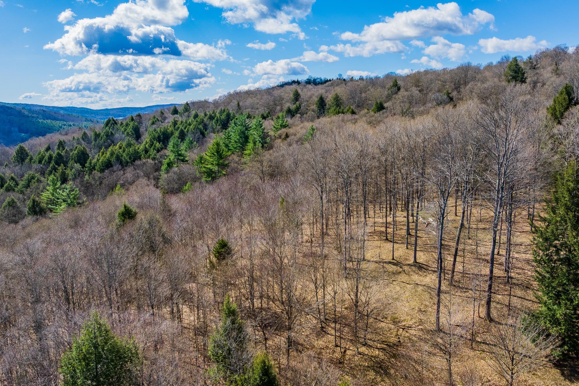 main property photo 10