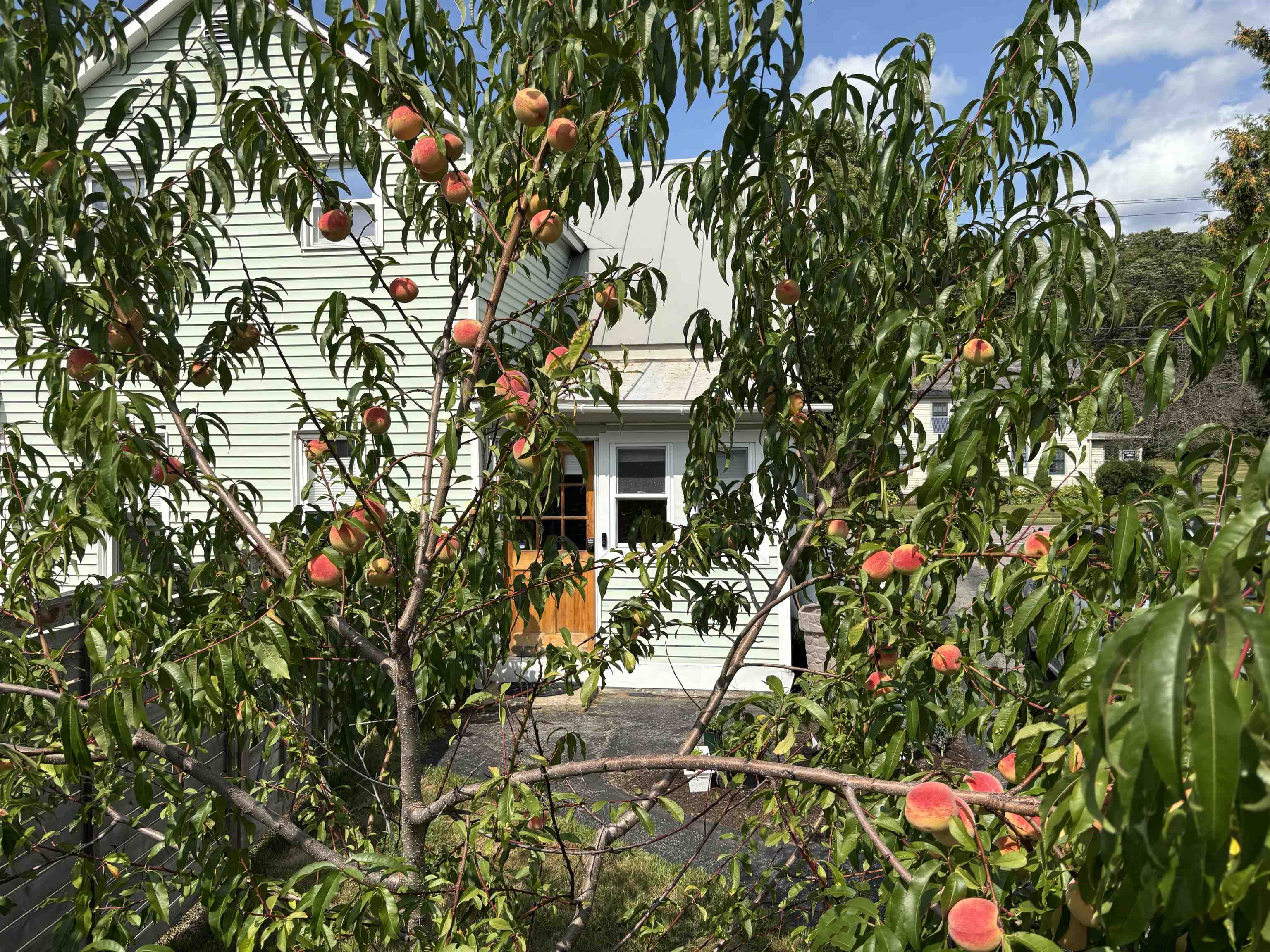 main property photo 32