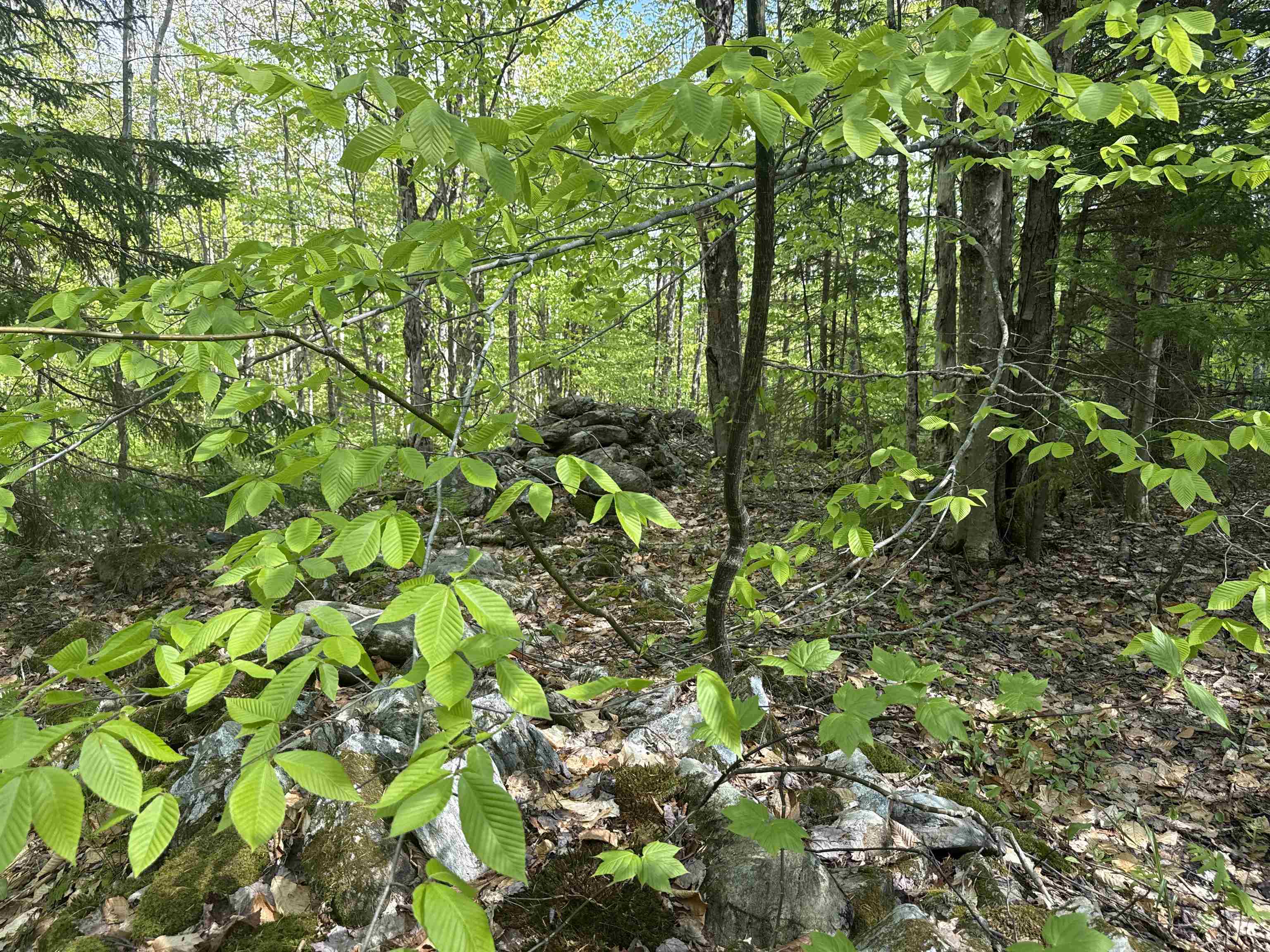 main property photo 35
