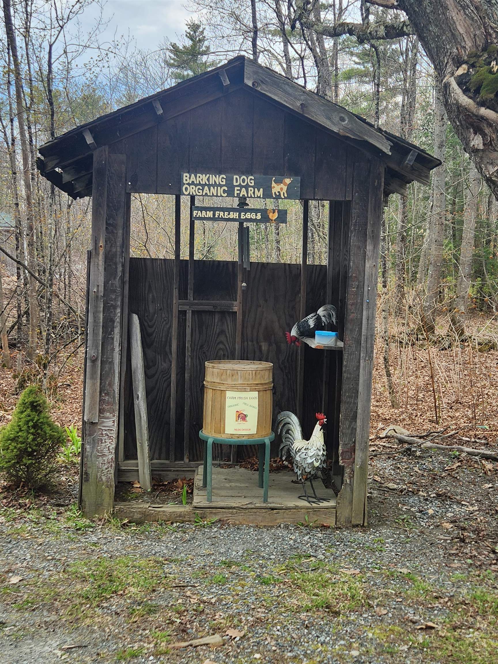main property photo 52