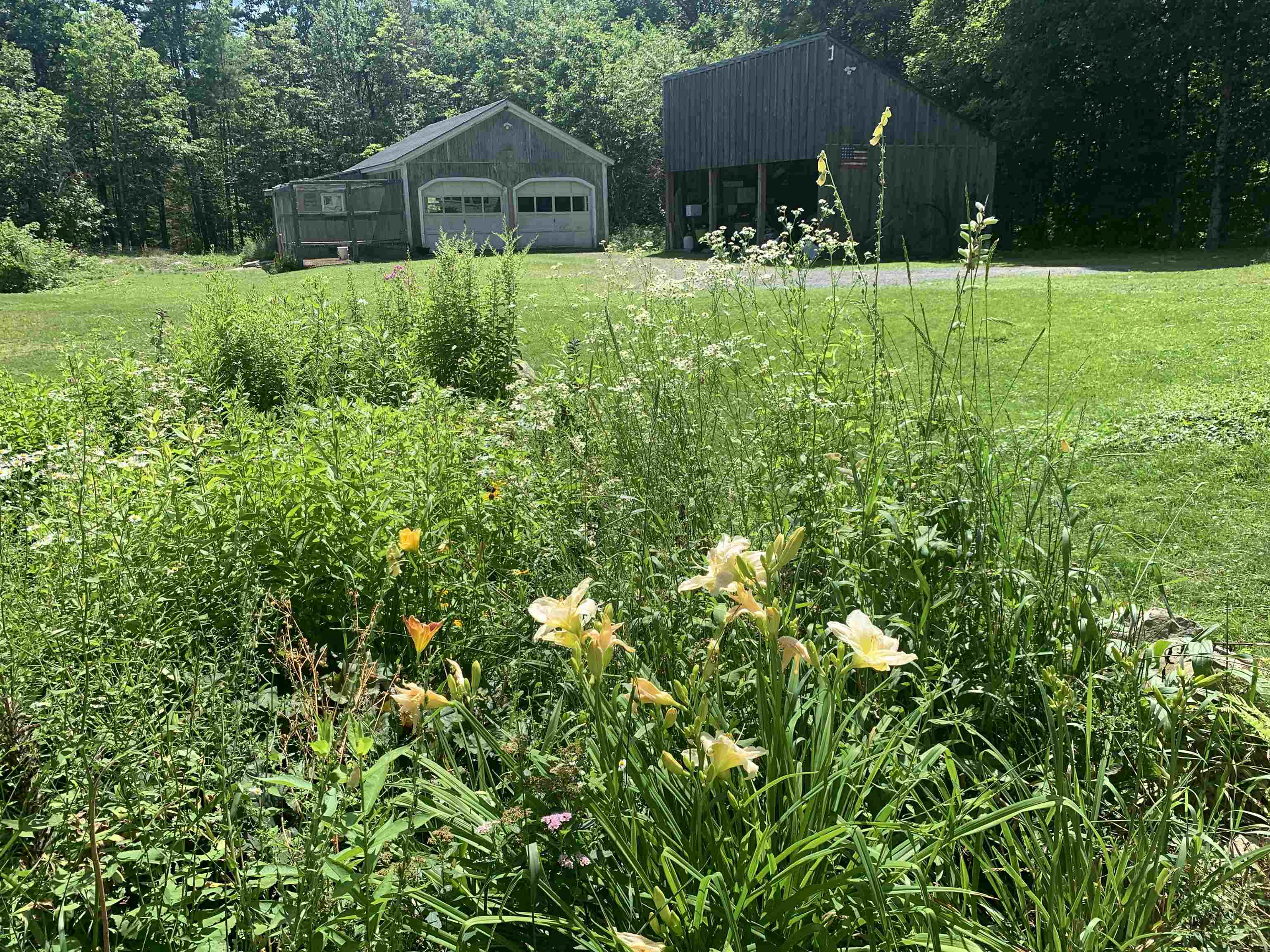main property photo 53