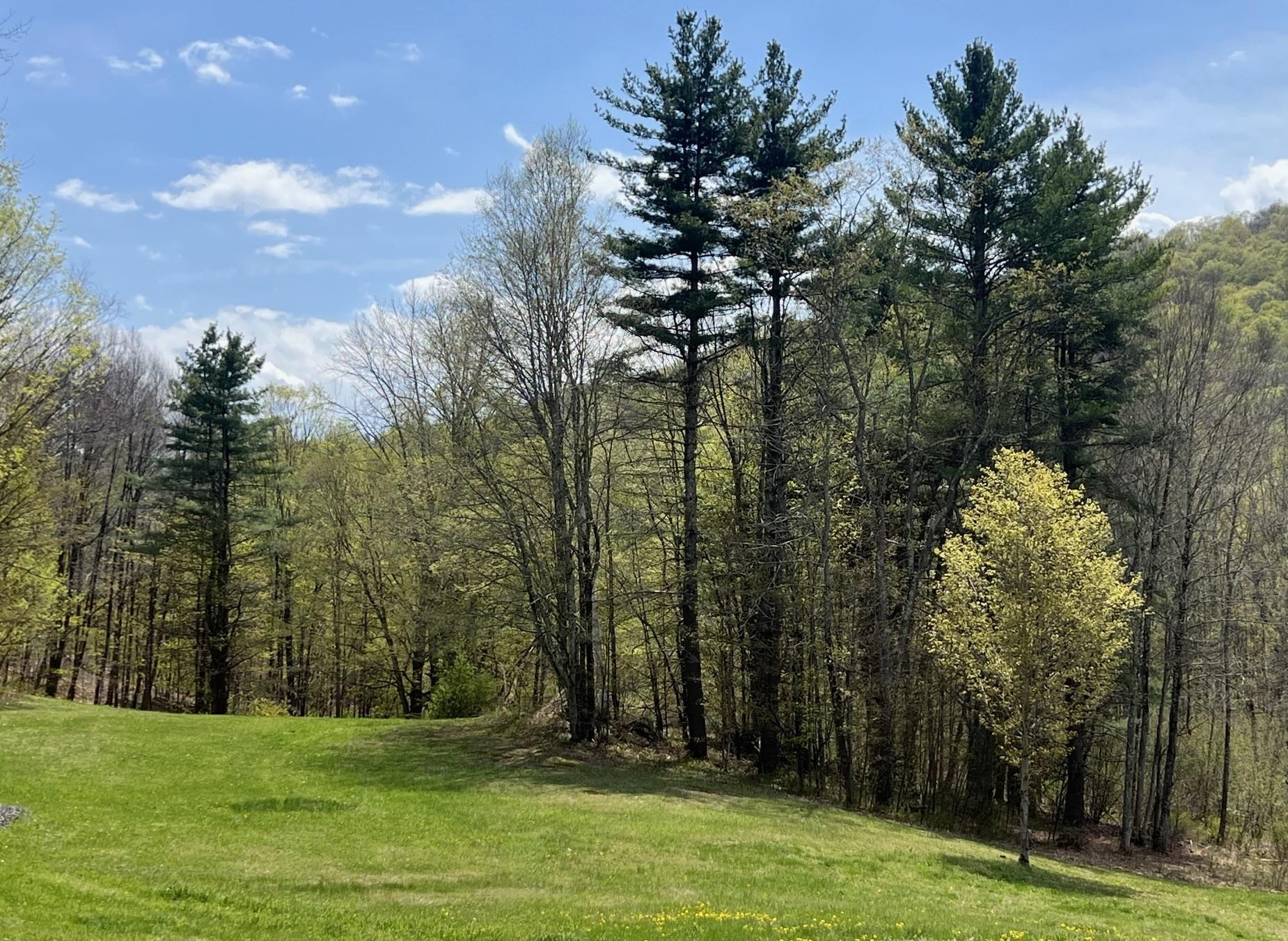 main property photo 55