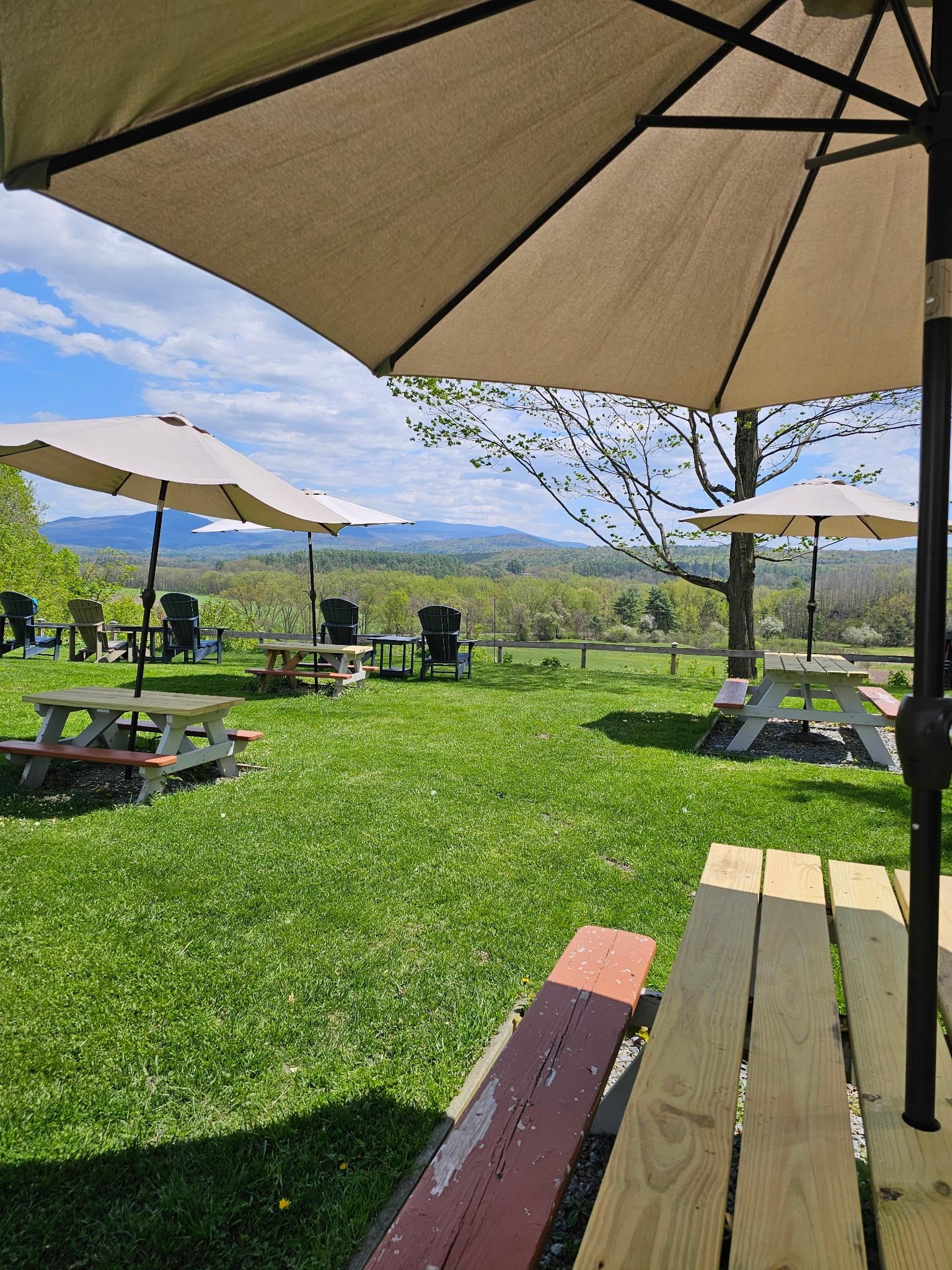 main property photo 48