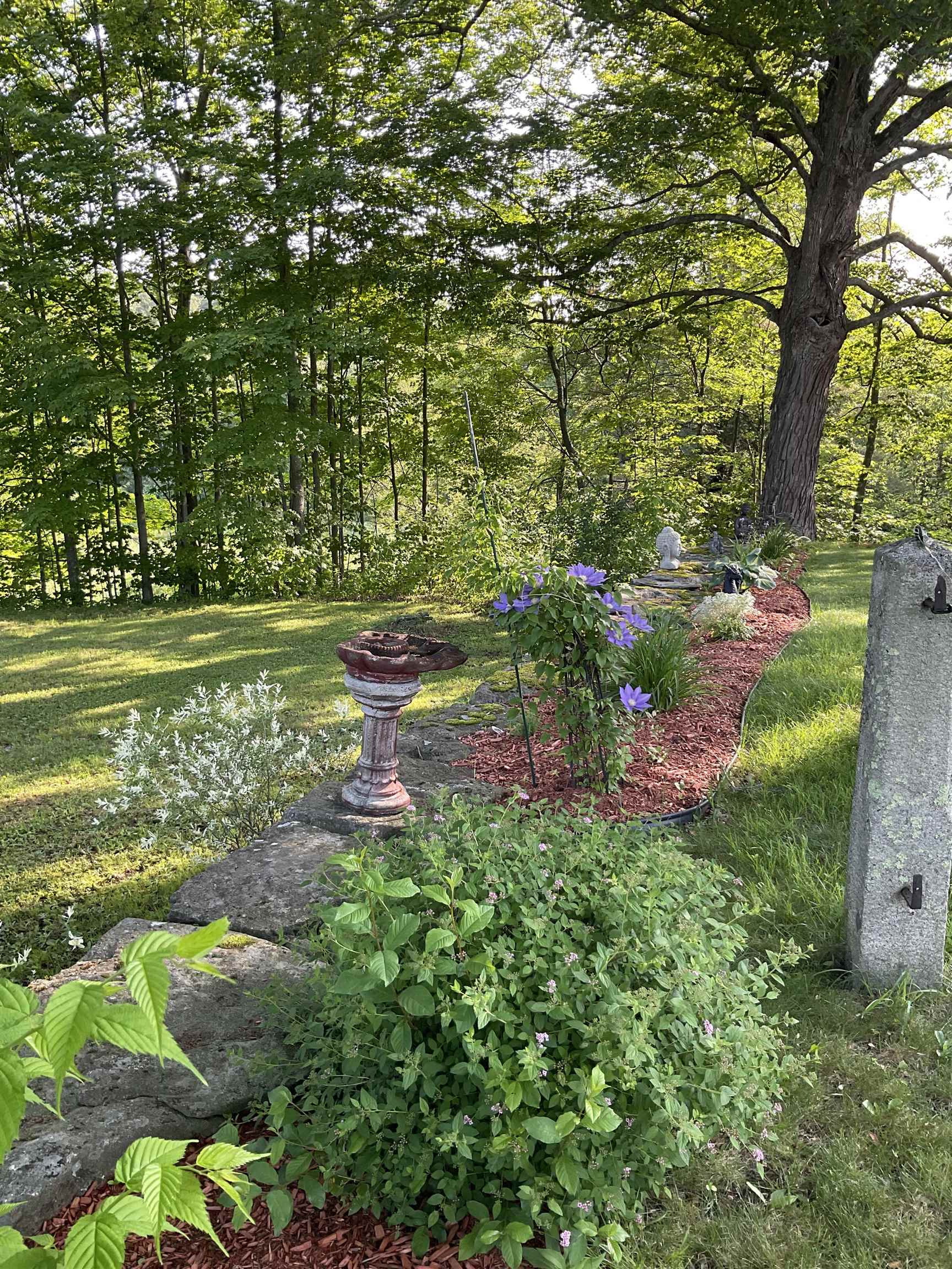 main property photo 50