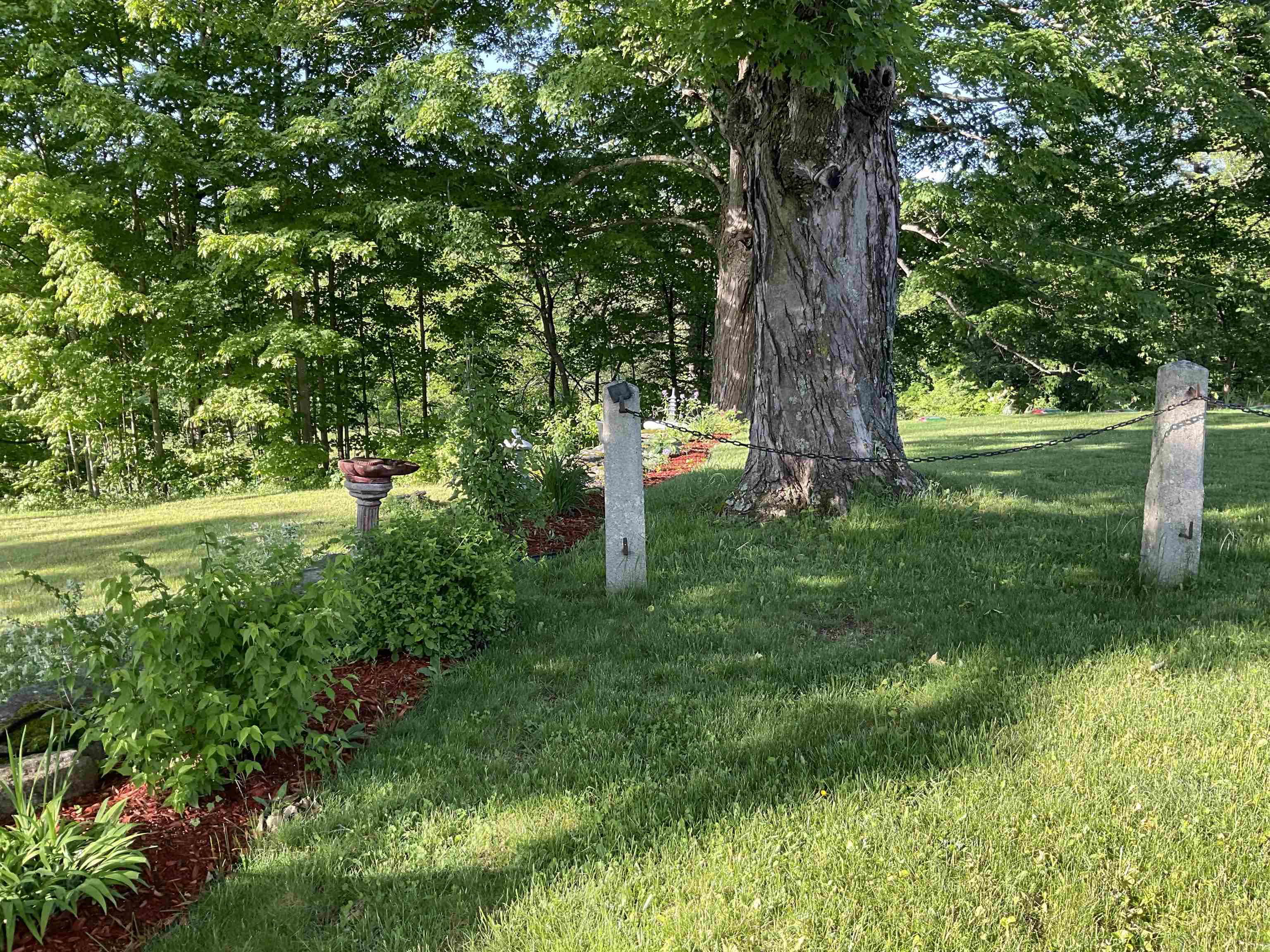 main property photo 56