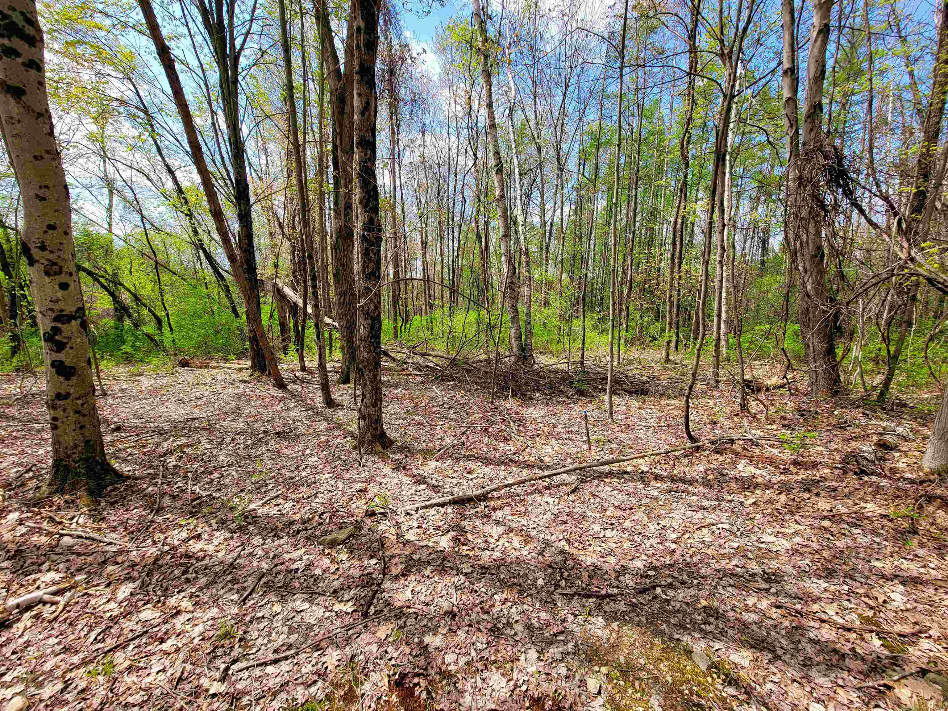 main property photo 25