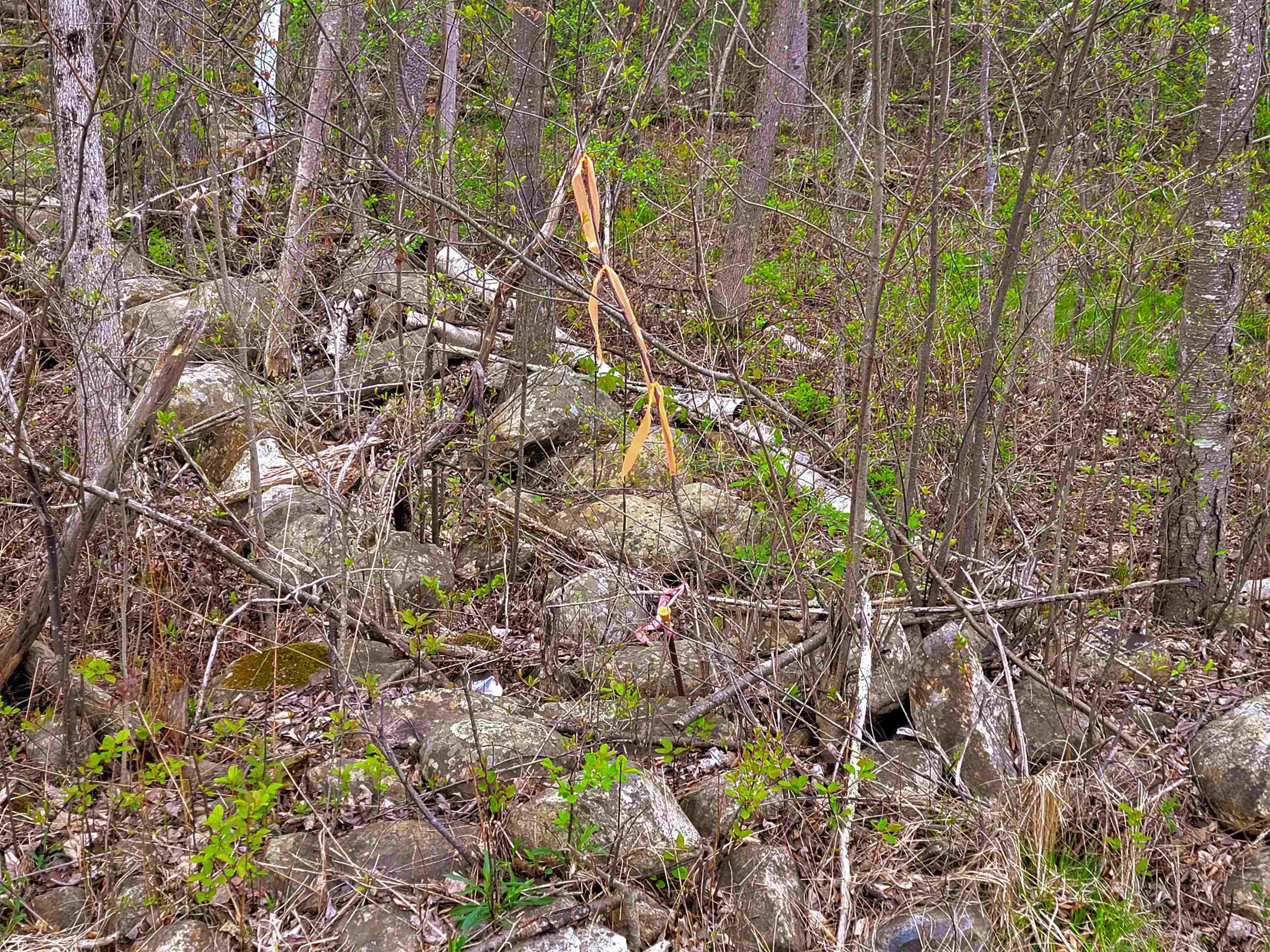 main property photo 44