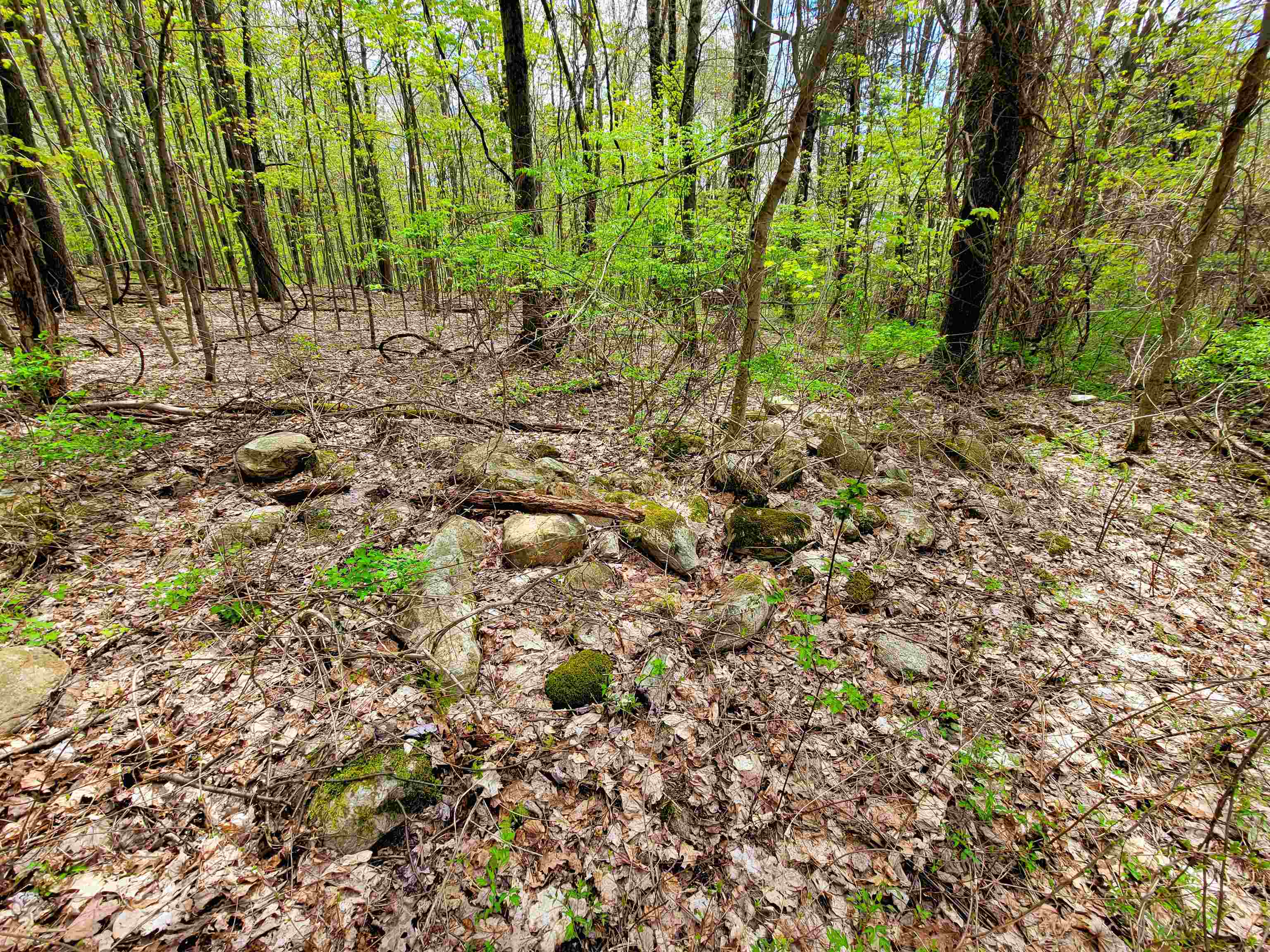 main property photo 47