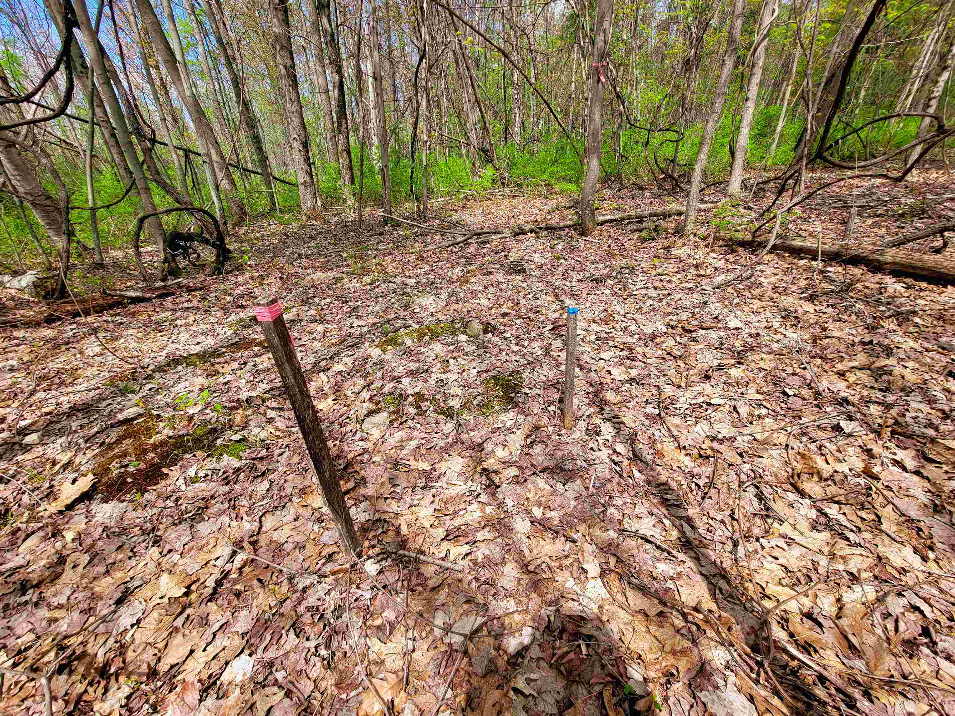 main property photo 51