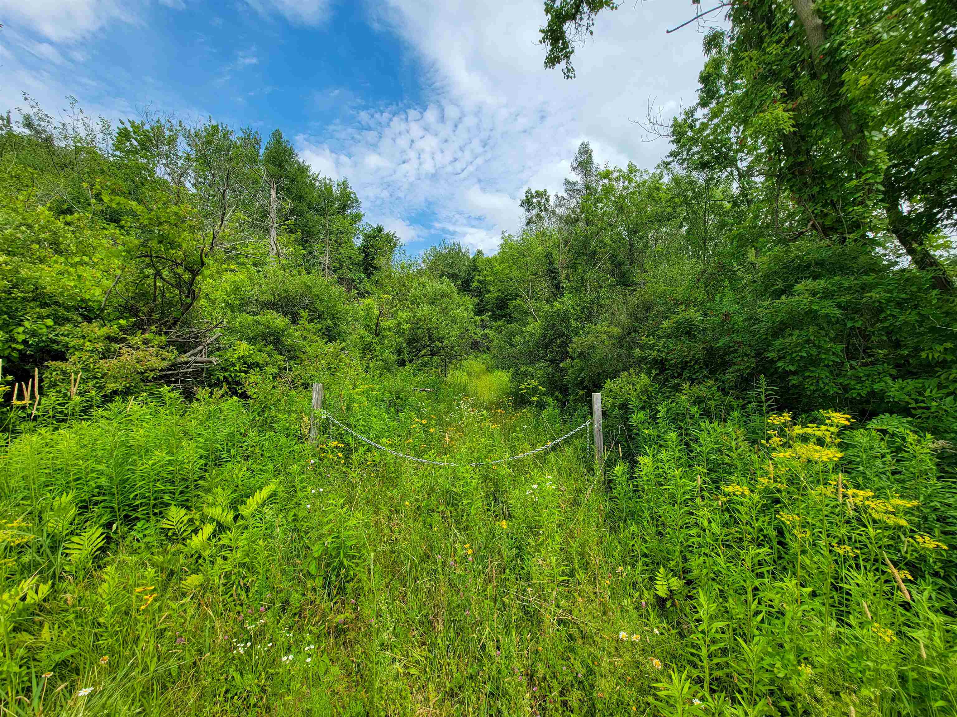 main property photo 55