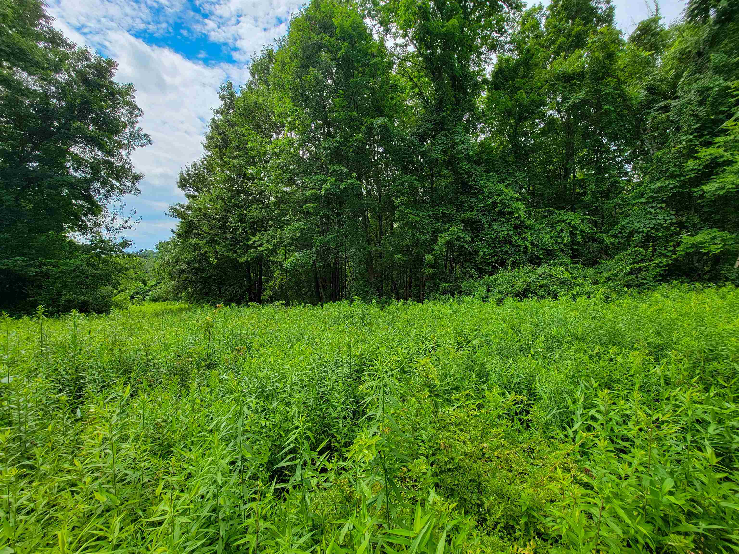 main property photo 57