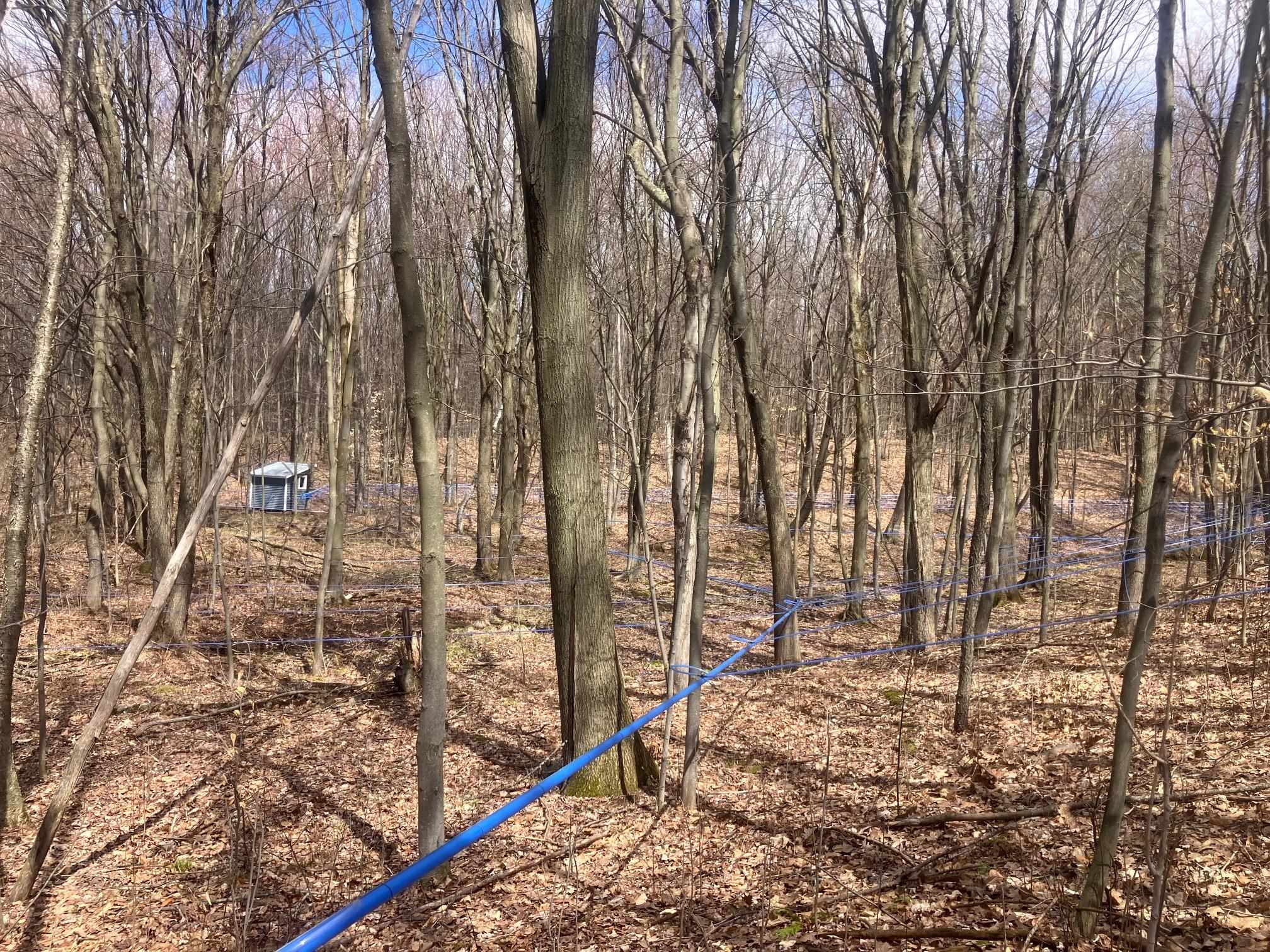 main property photo 15