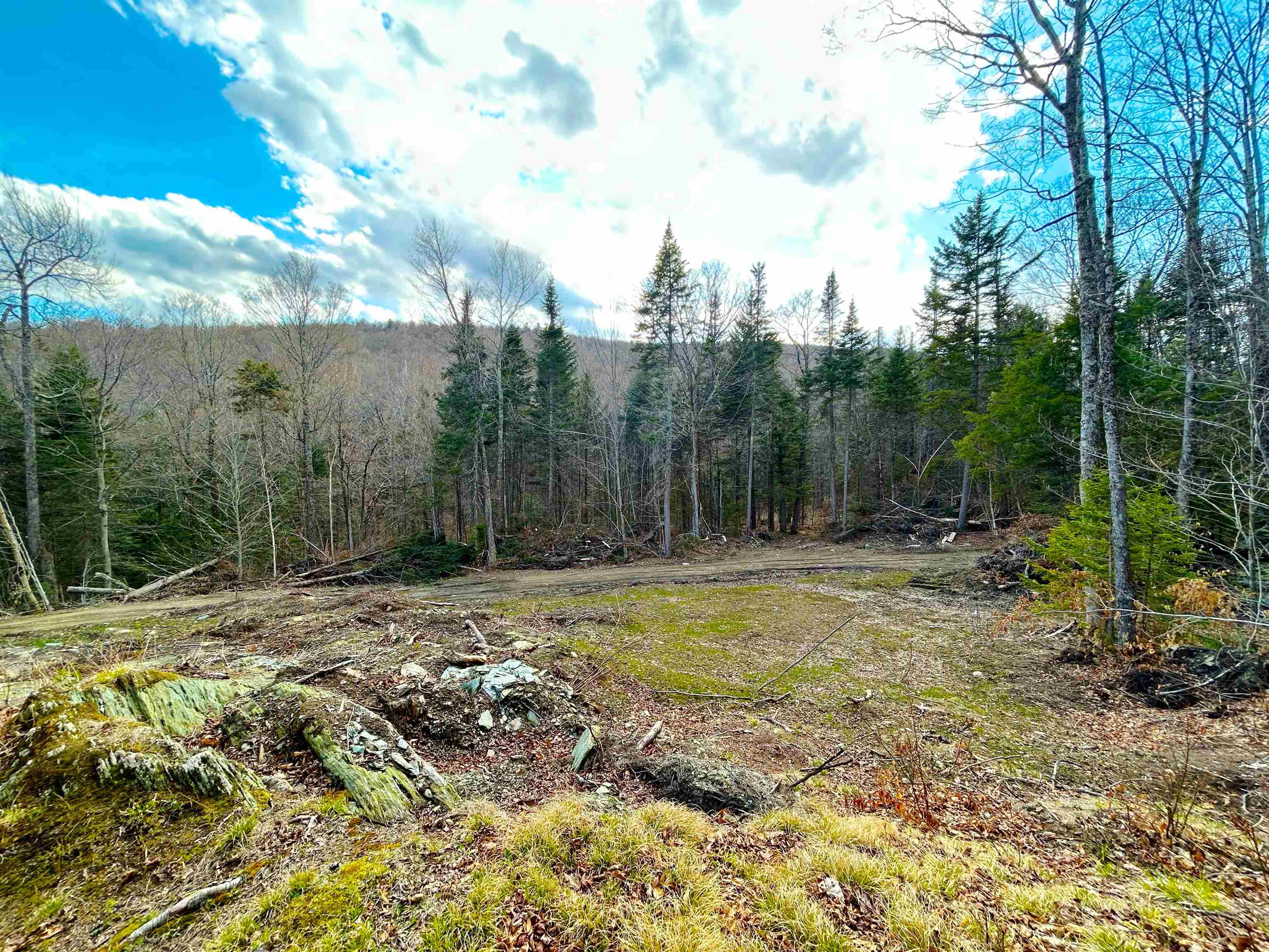main property photo 13
