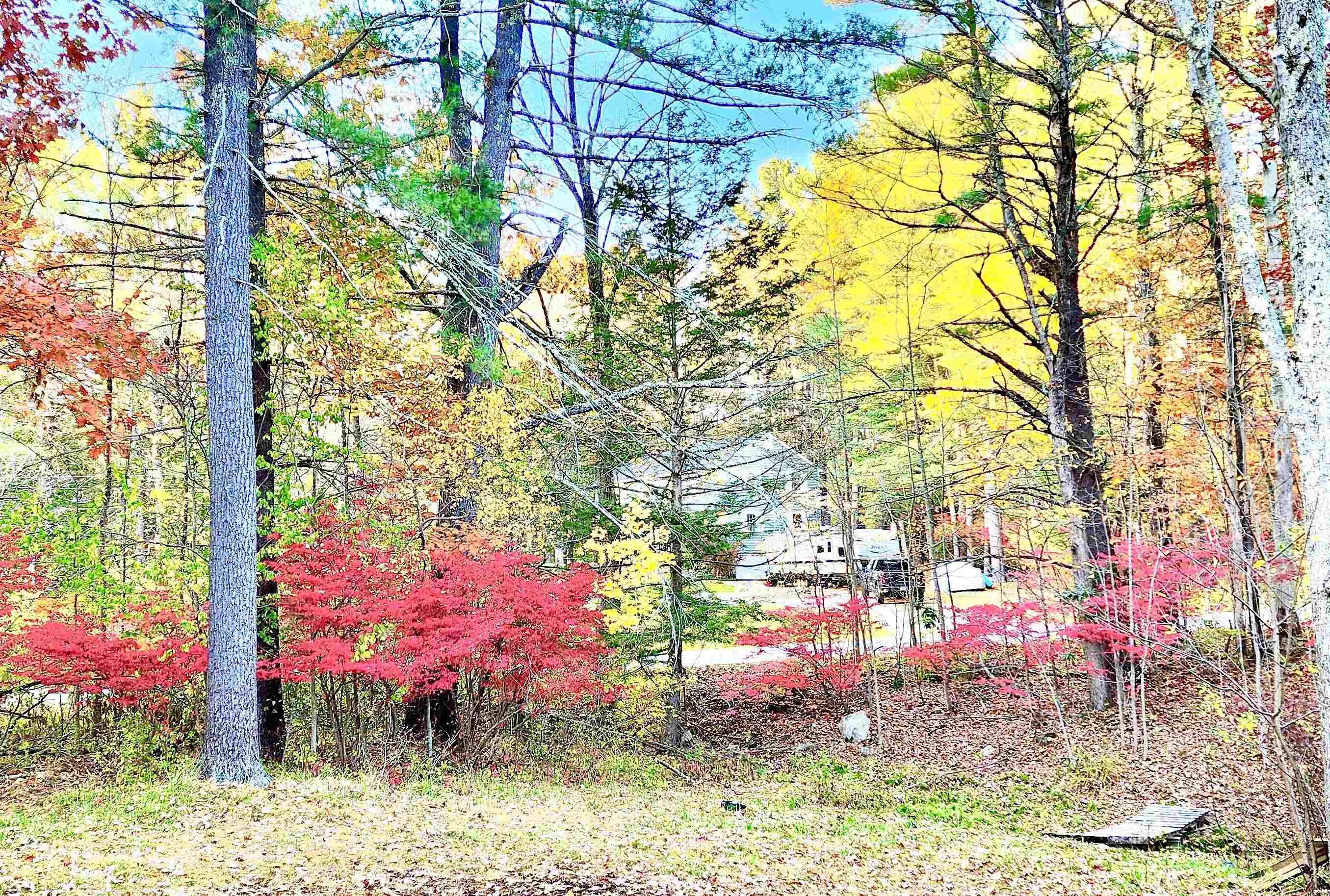 main property photo 39