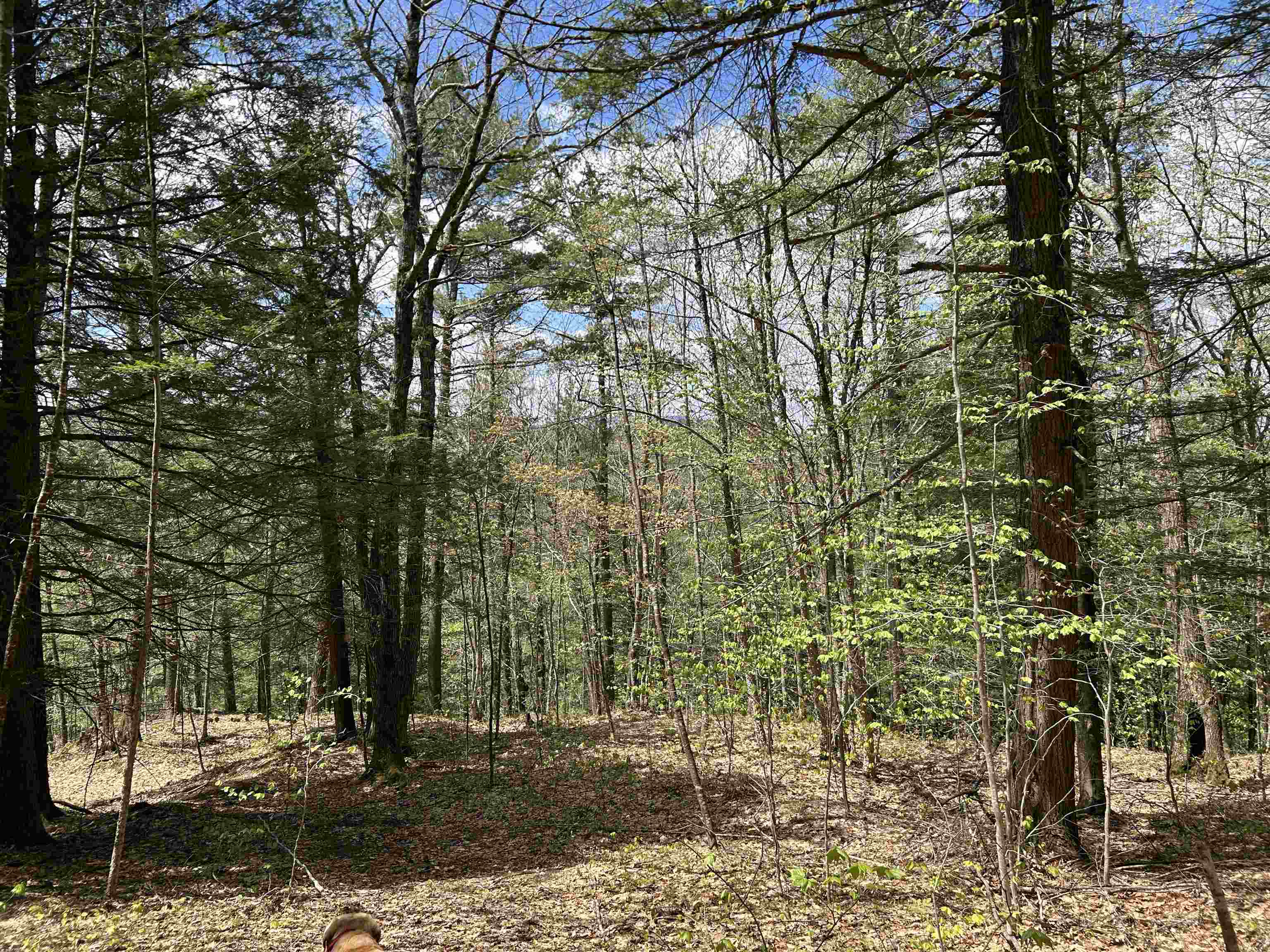 main property photo 19