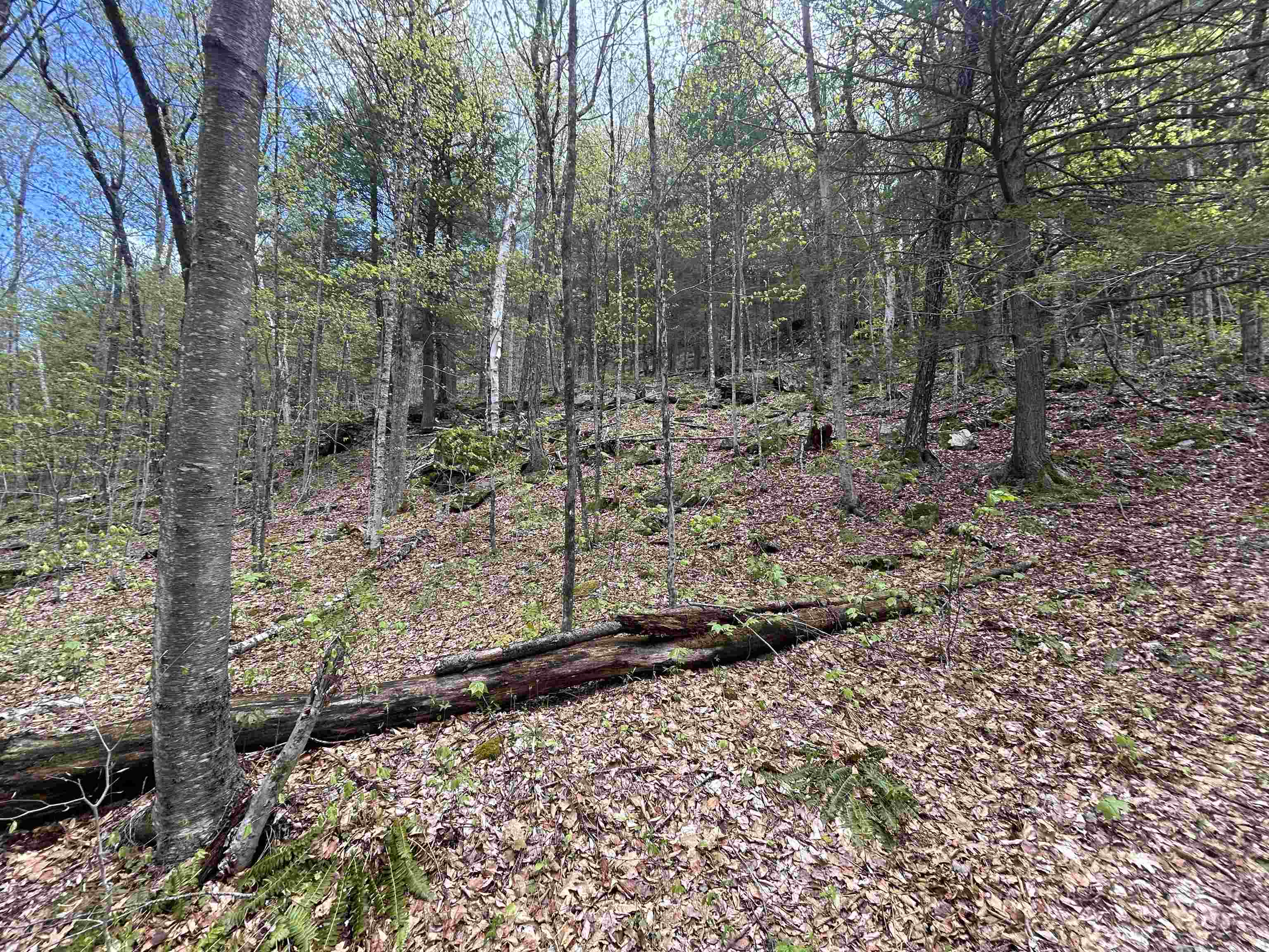 main property photo 33