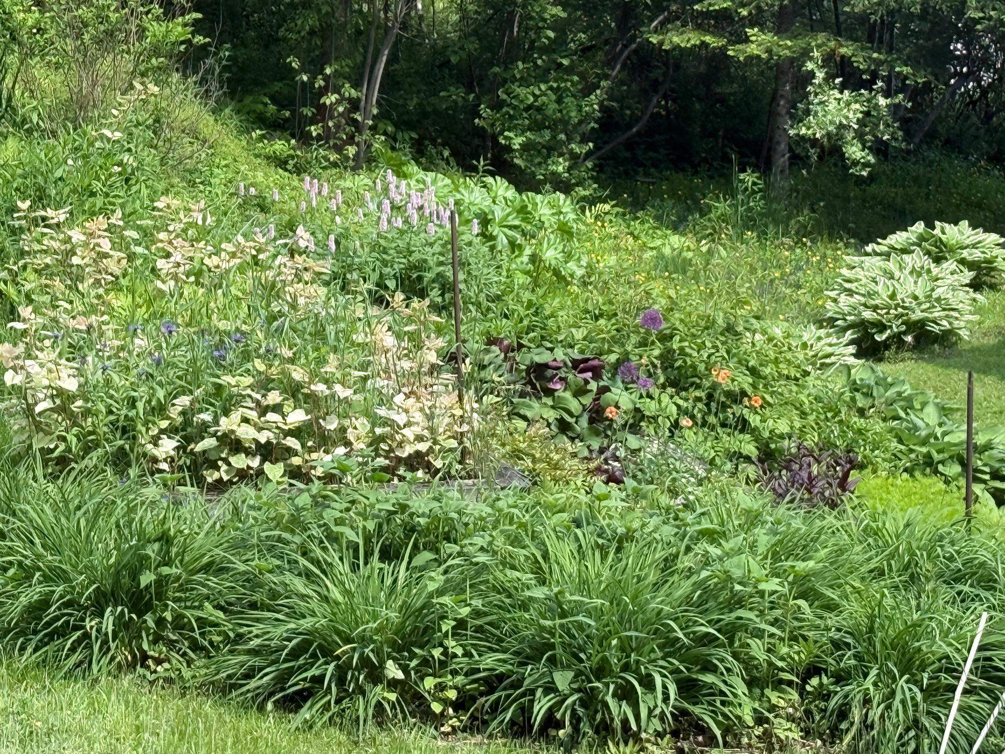 main property photo 58