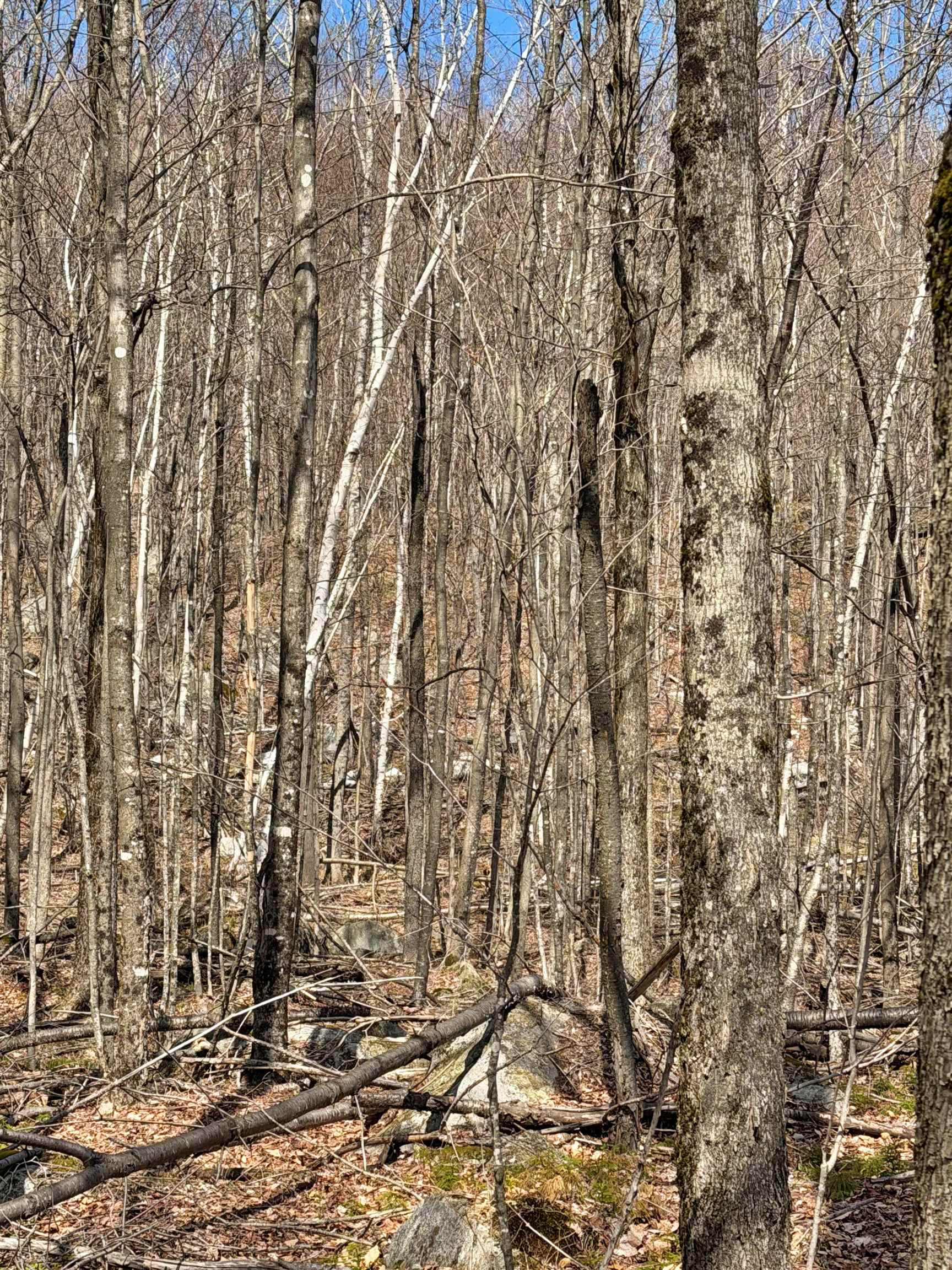 main property photo 29