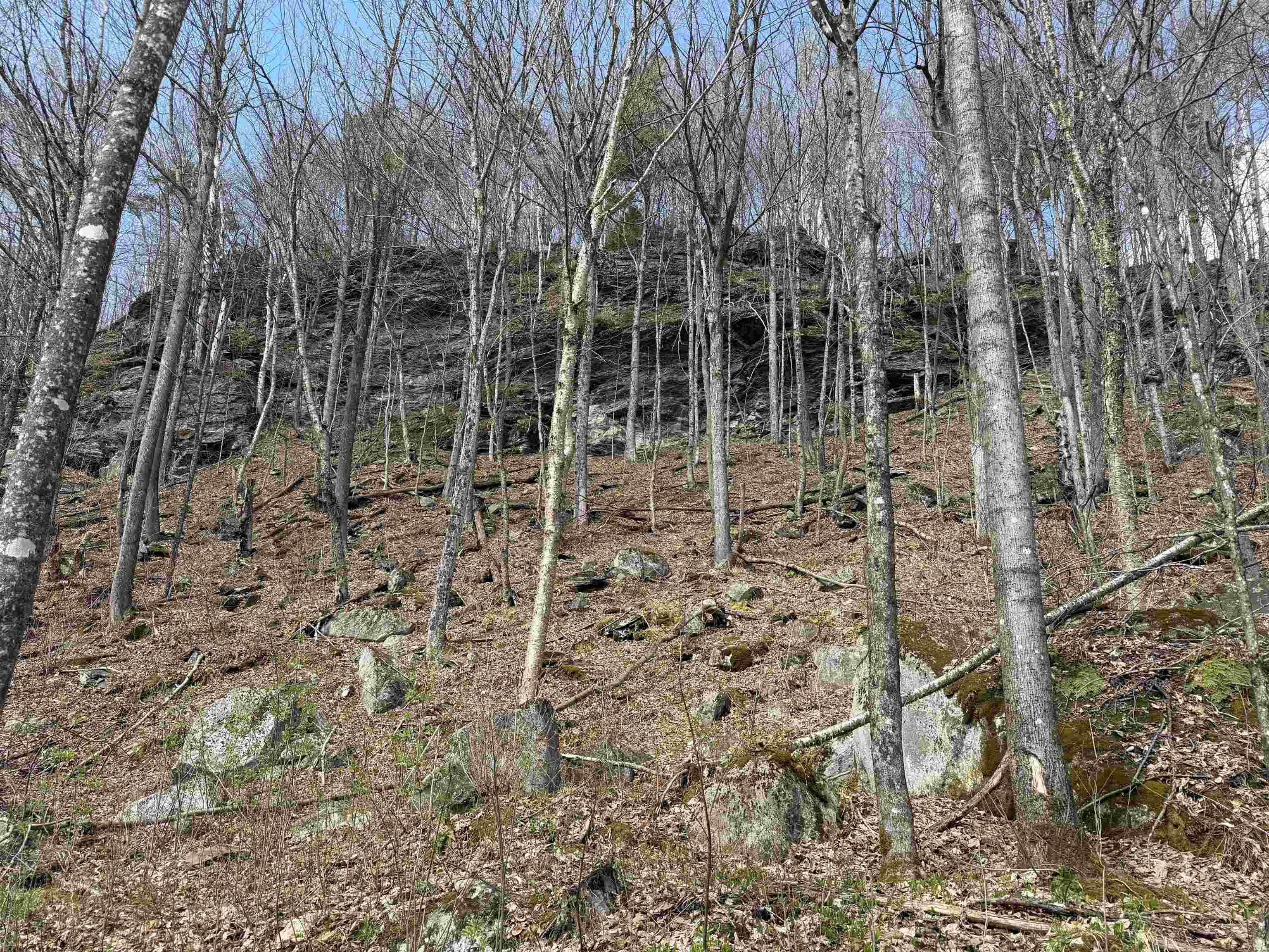 main property photo 45