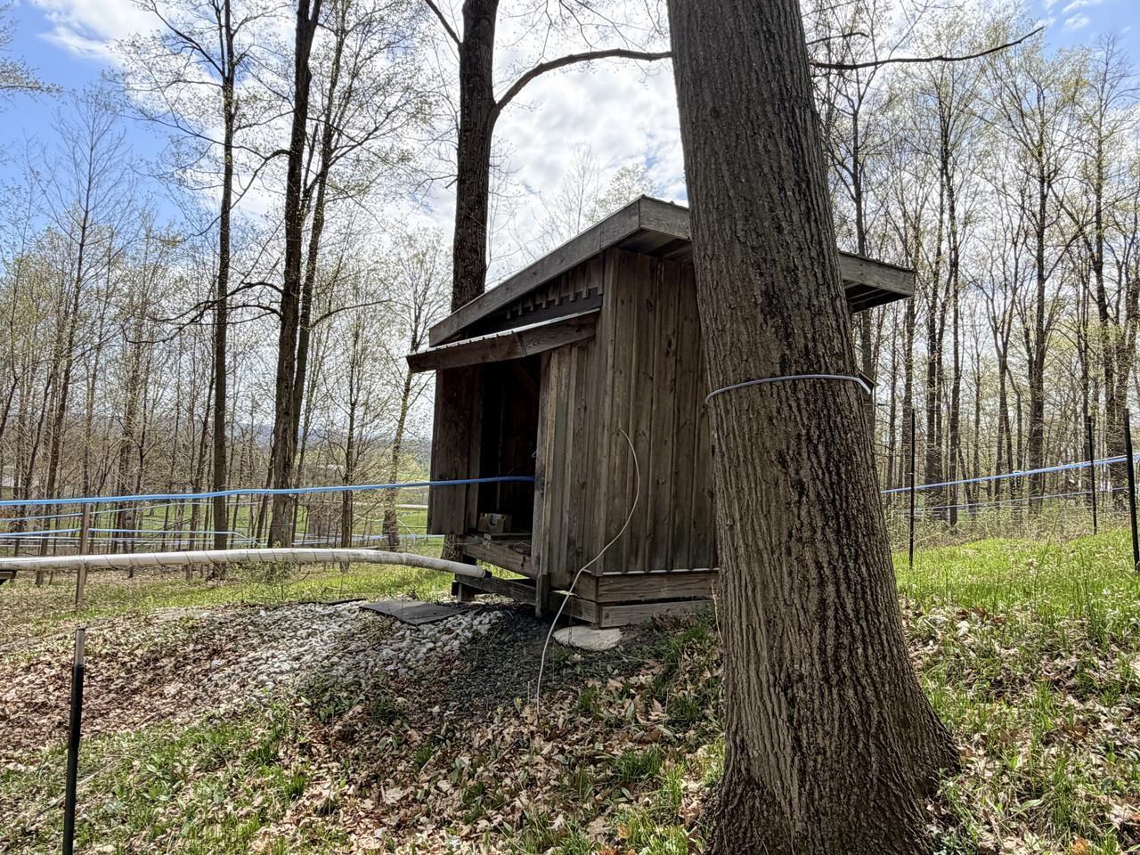 main property photo 17