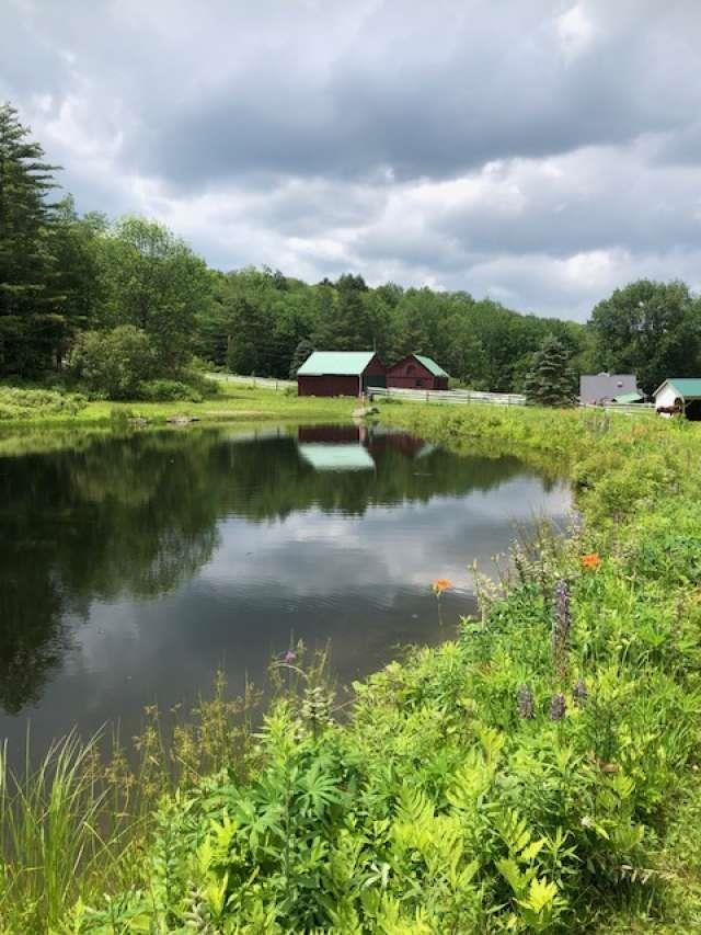 main property photo 46