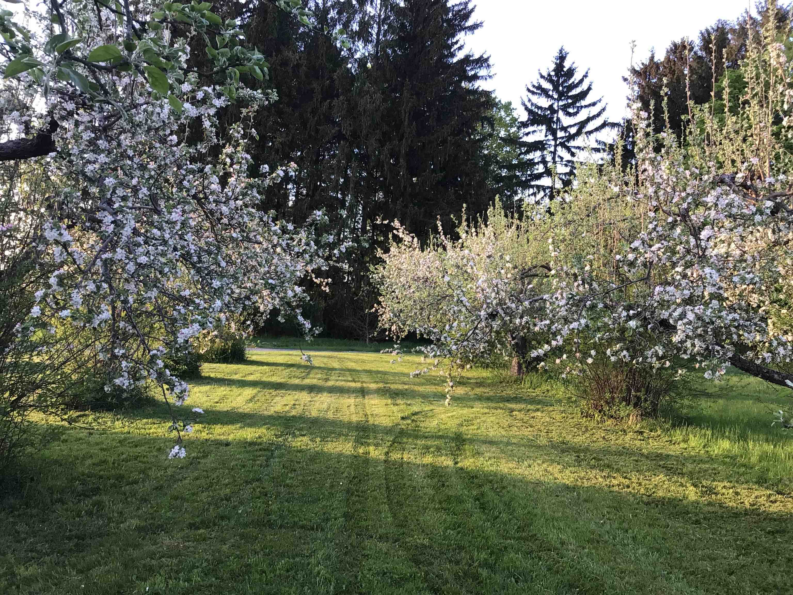main property photo 54