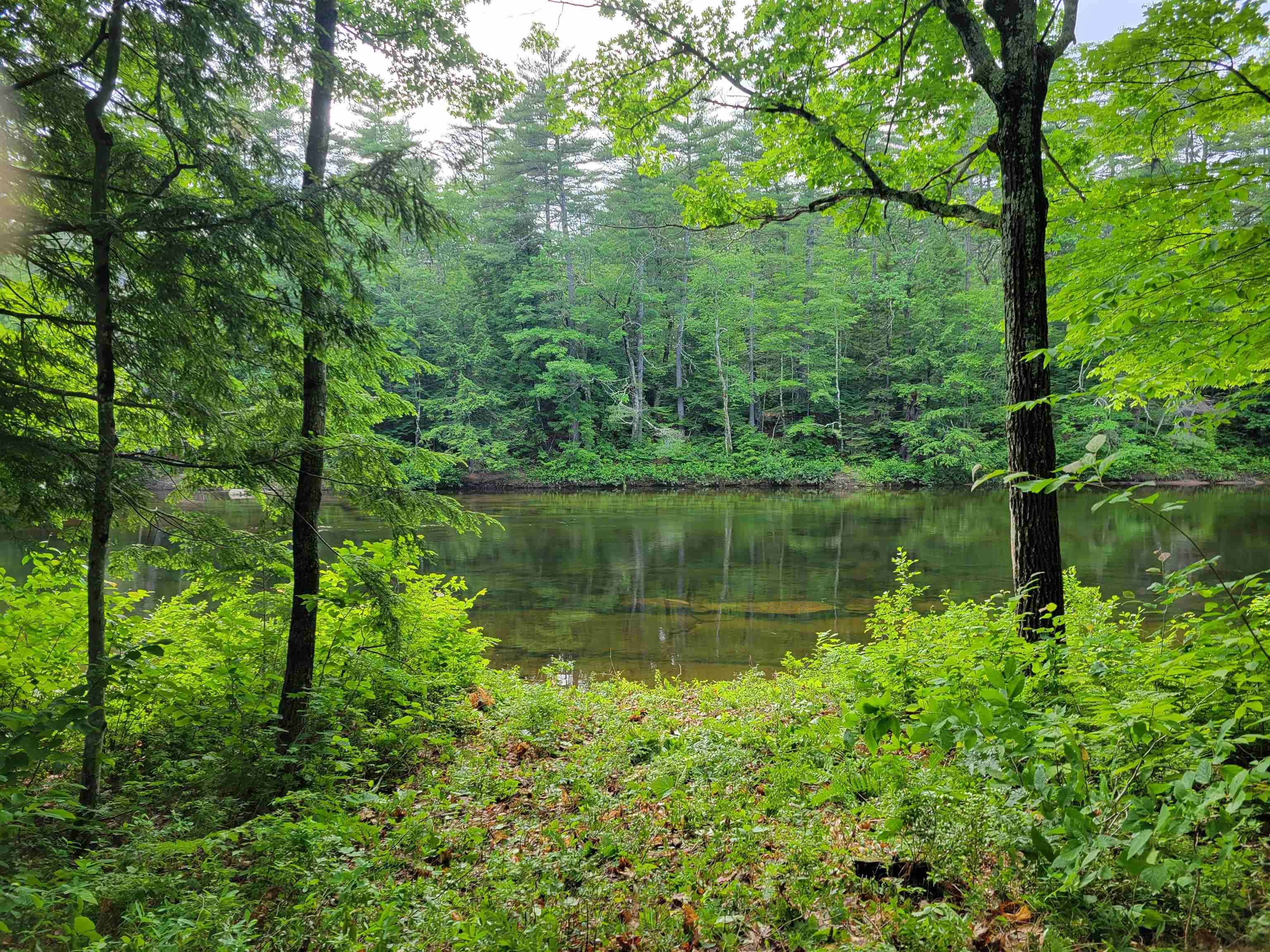 main property photo 4