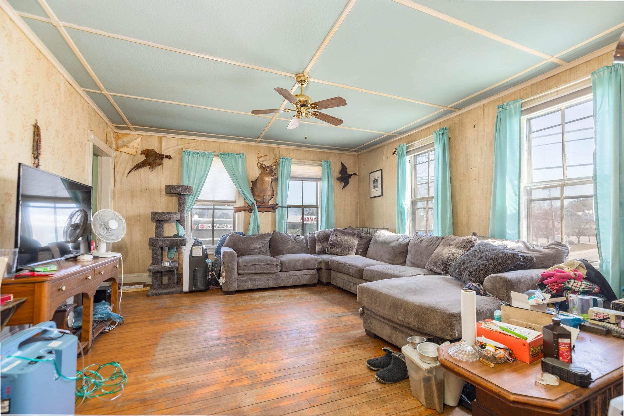 main property photo 22