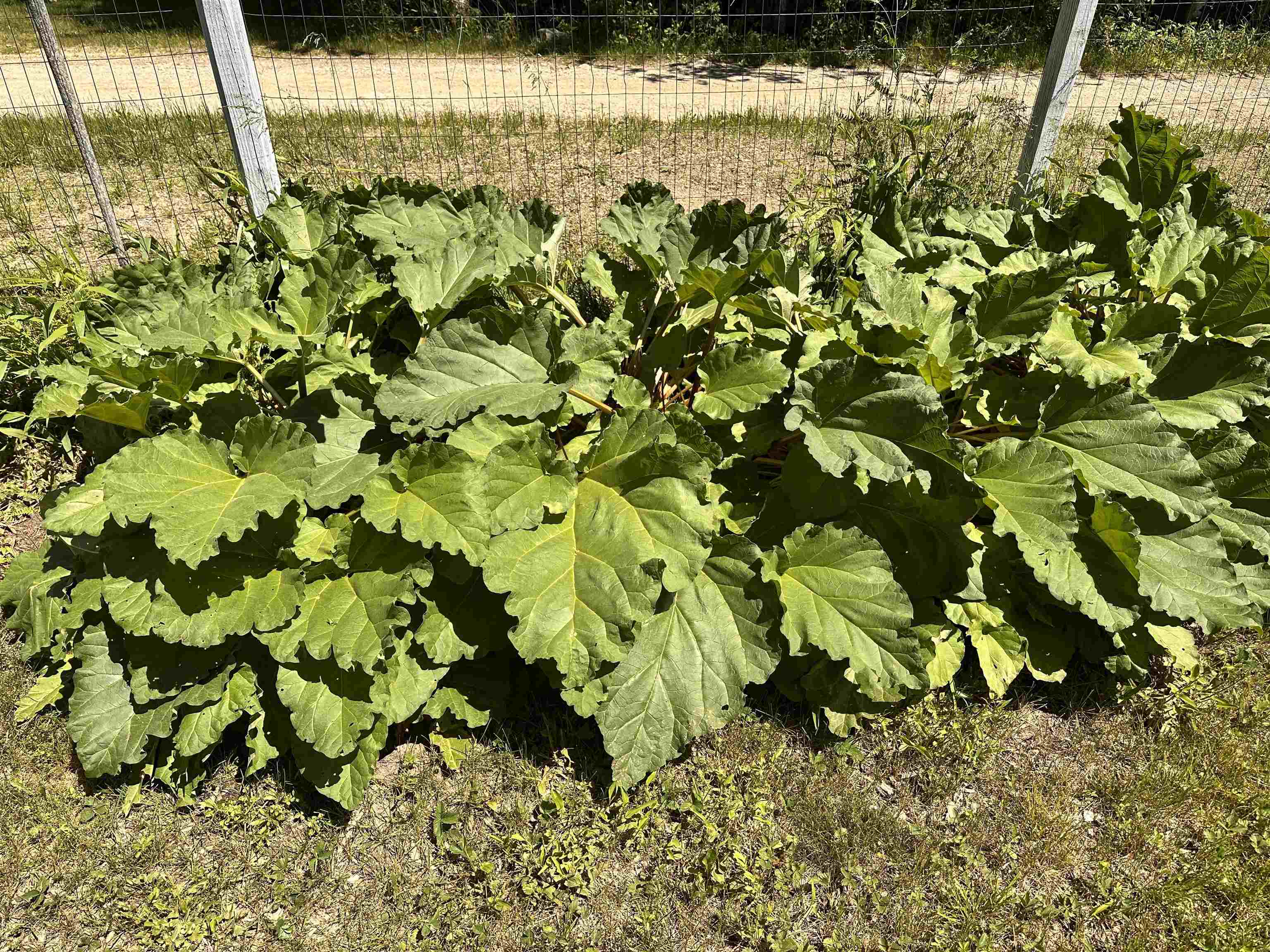 main property photo 39
