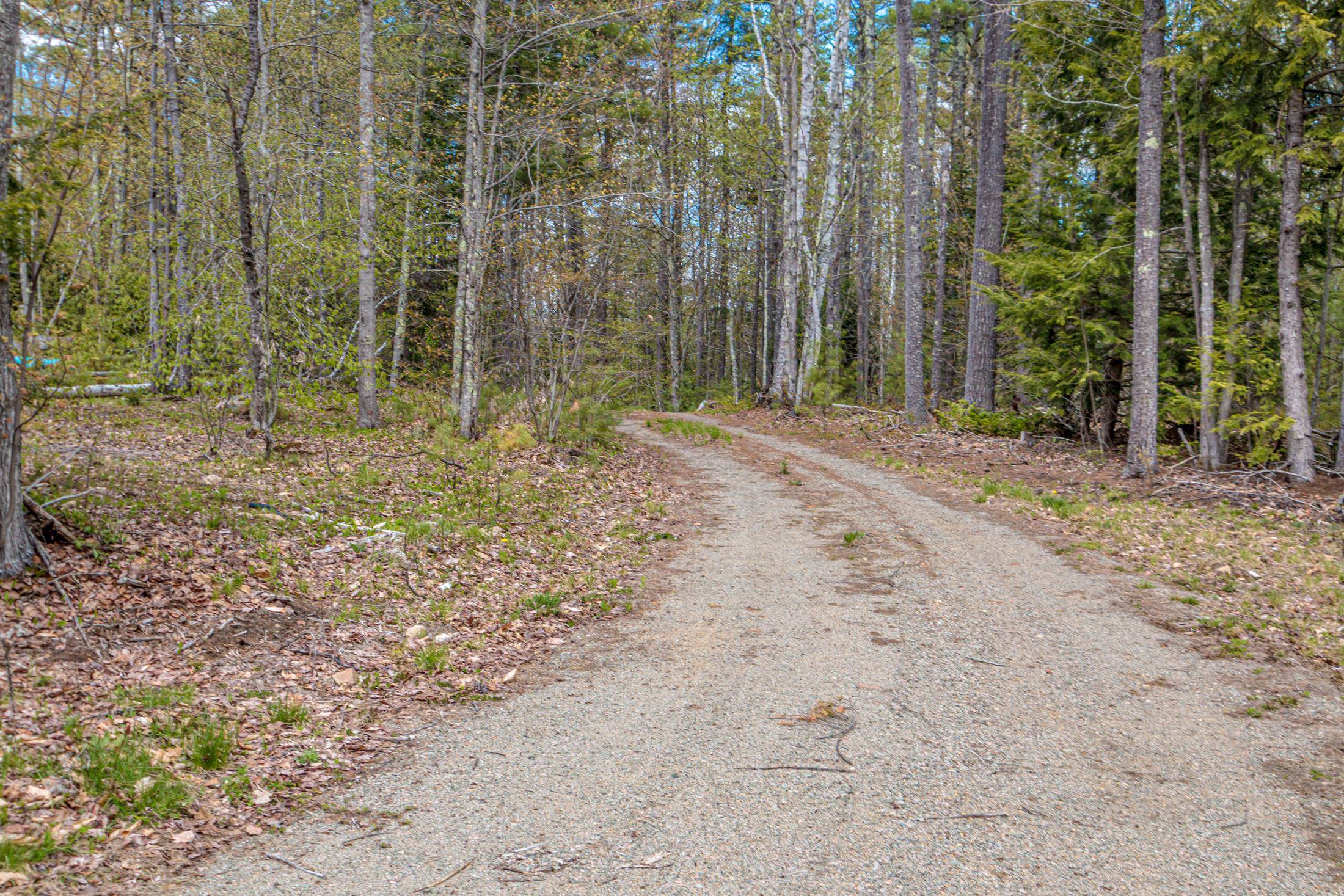 main property photo 59