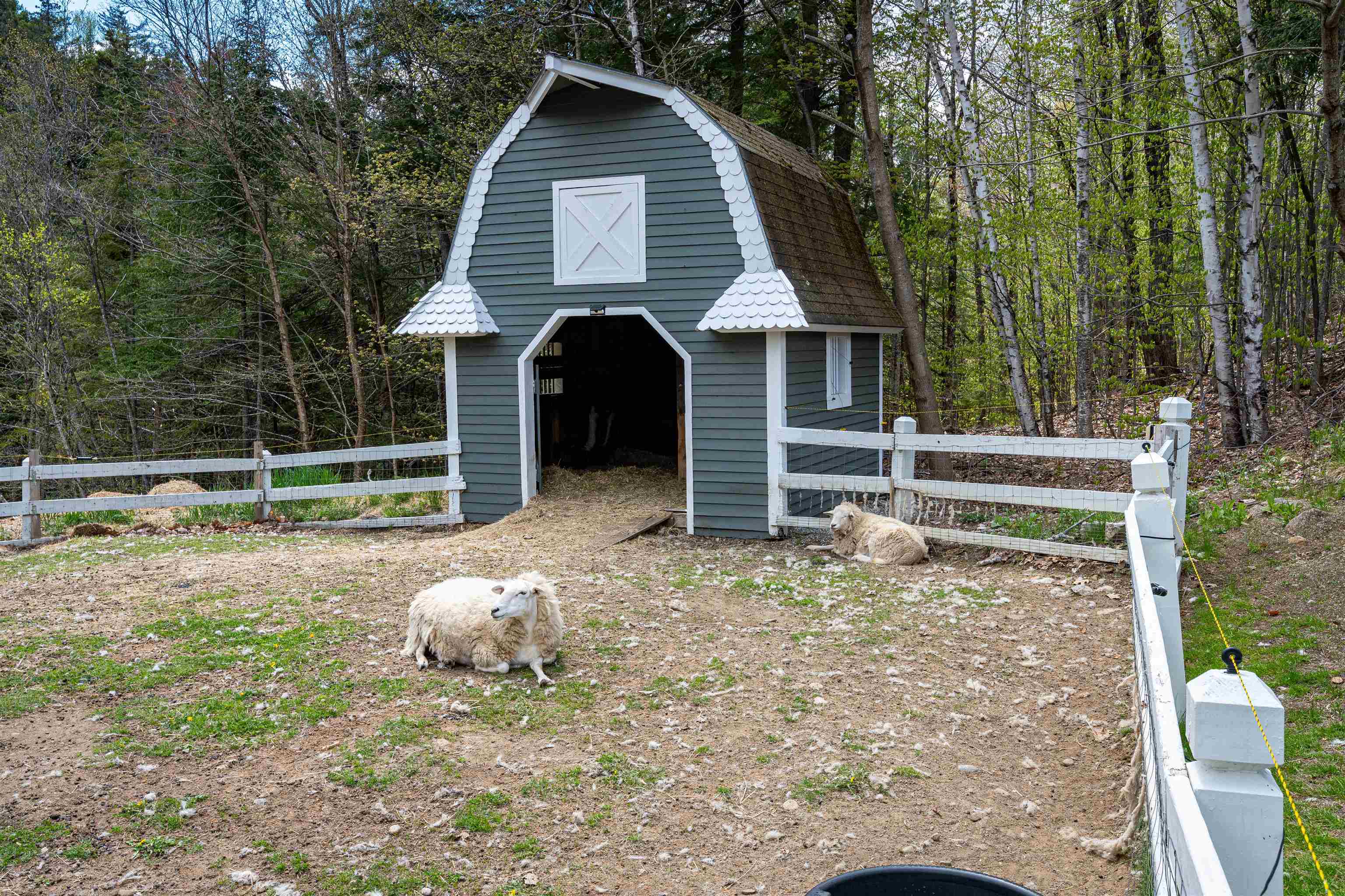 main property photo 25