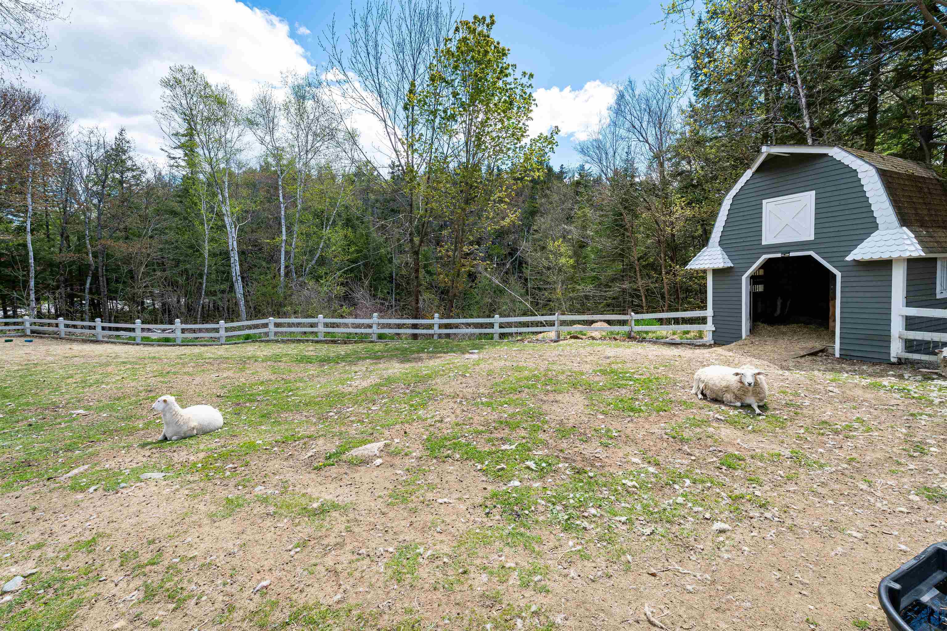 main property photo 26