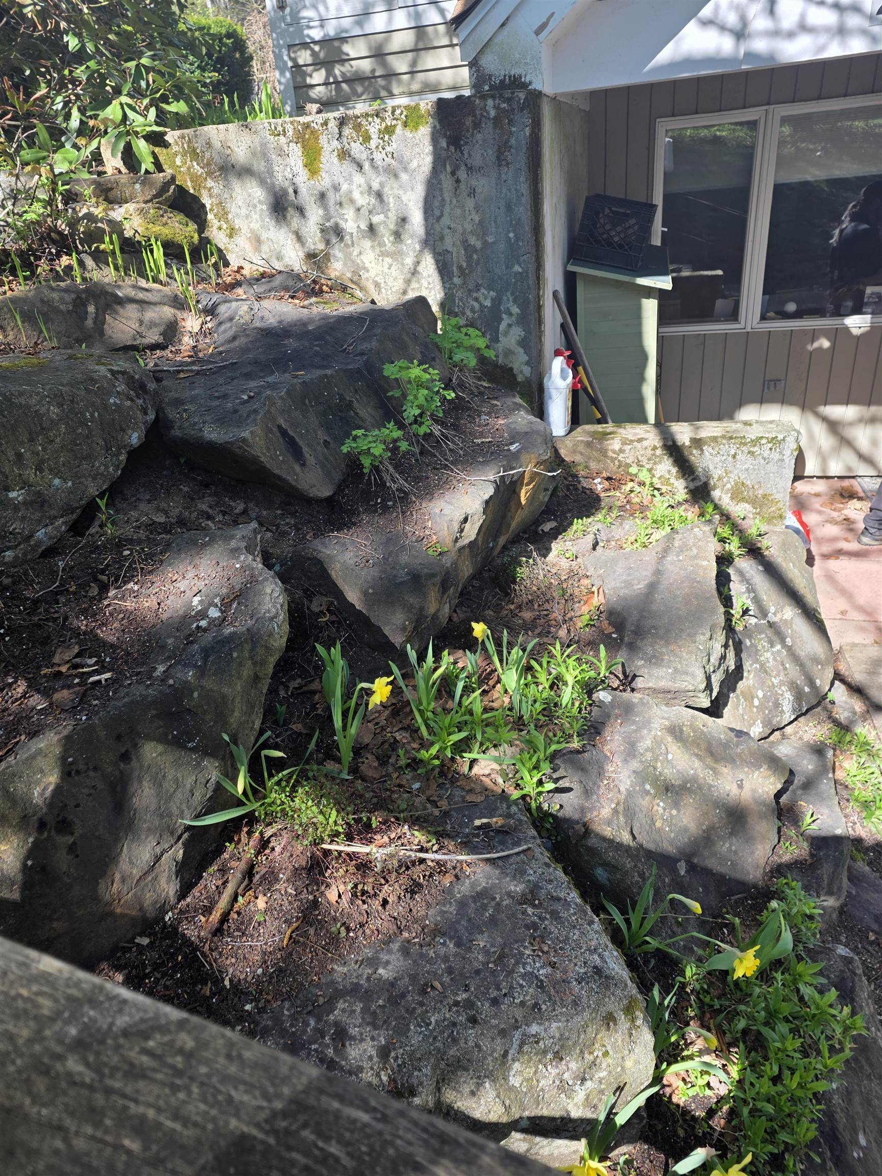 main property photo 54