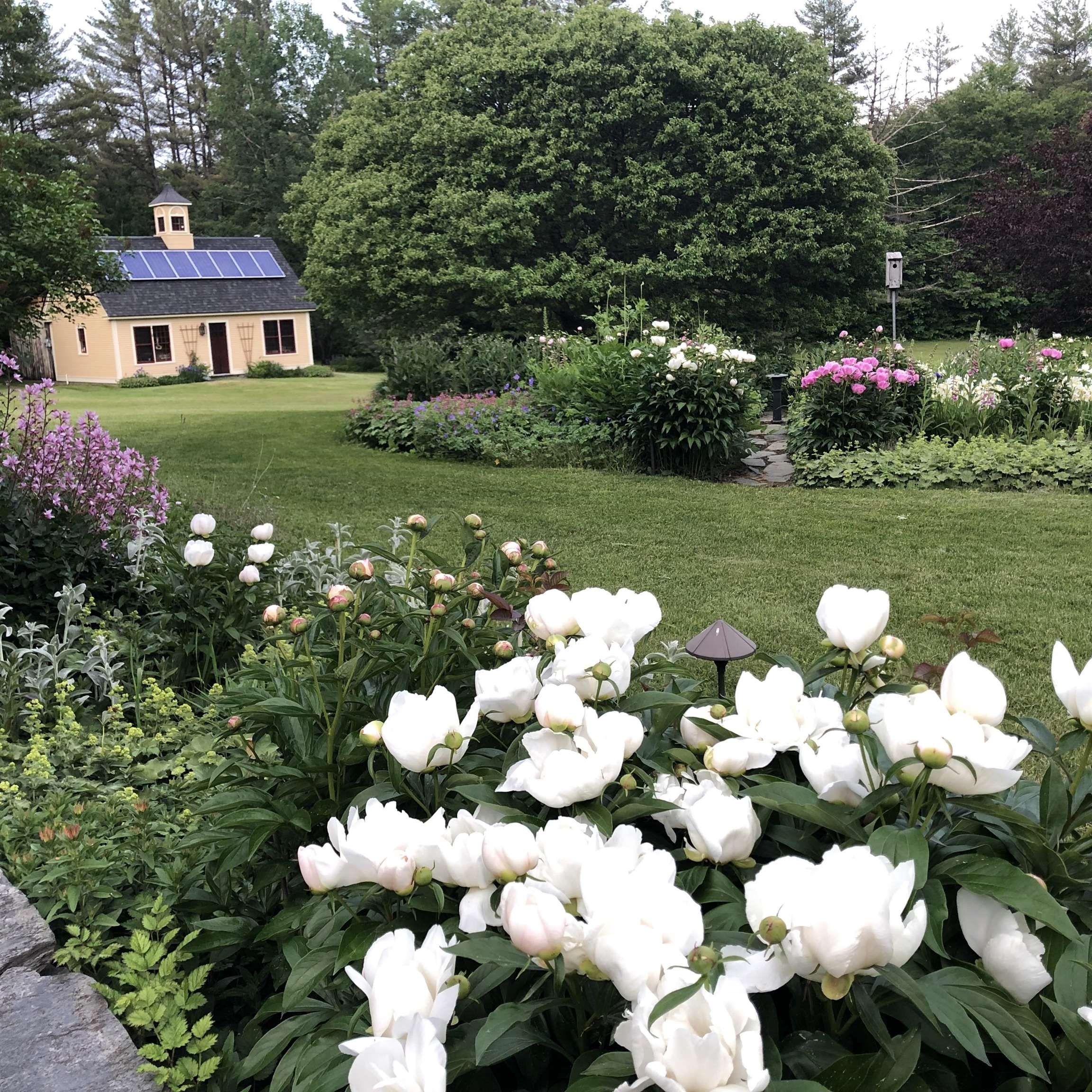 main property photo 56